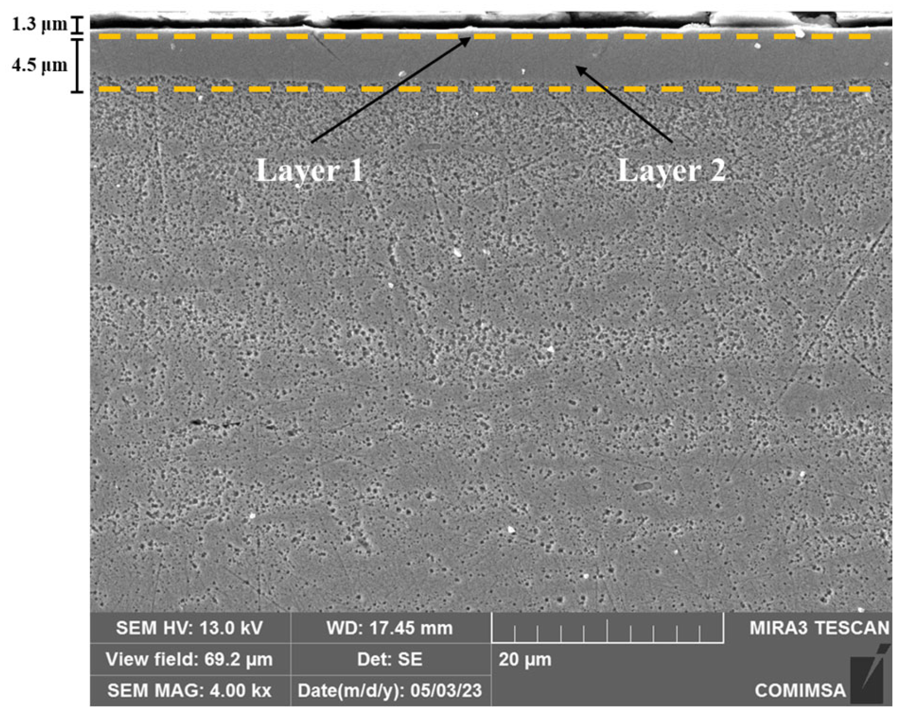 Lubricants 13 00195 g005