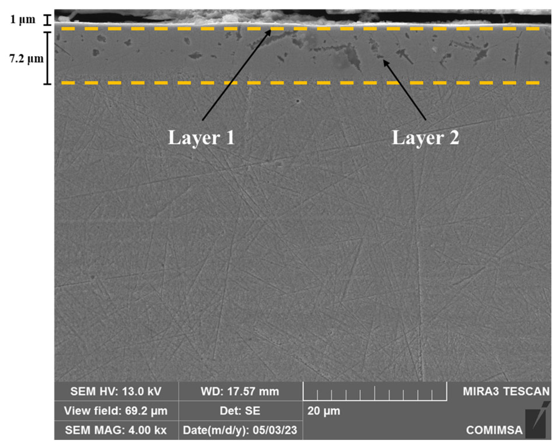 Lubricants 13 00195 g006