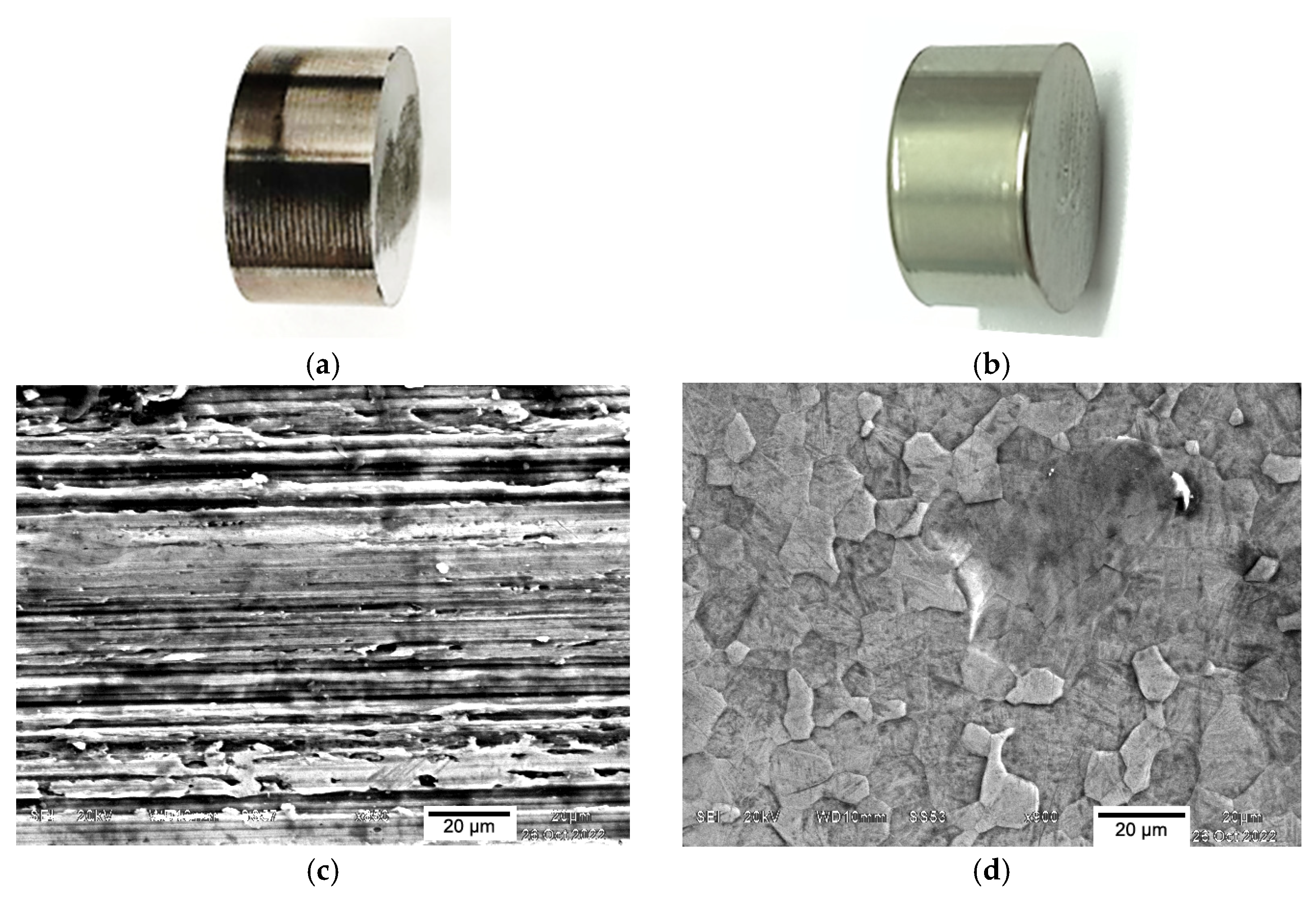 Lubricants 13 00199 g010 Lubricants 13 00199 g010