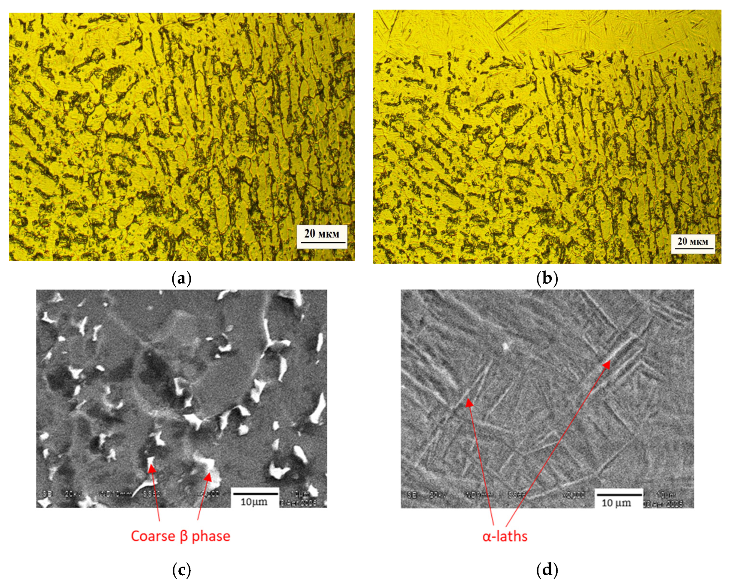 Lubricants 13 00199 g011 Lubricants 13 00199 g011