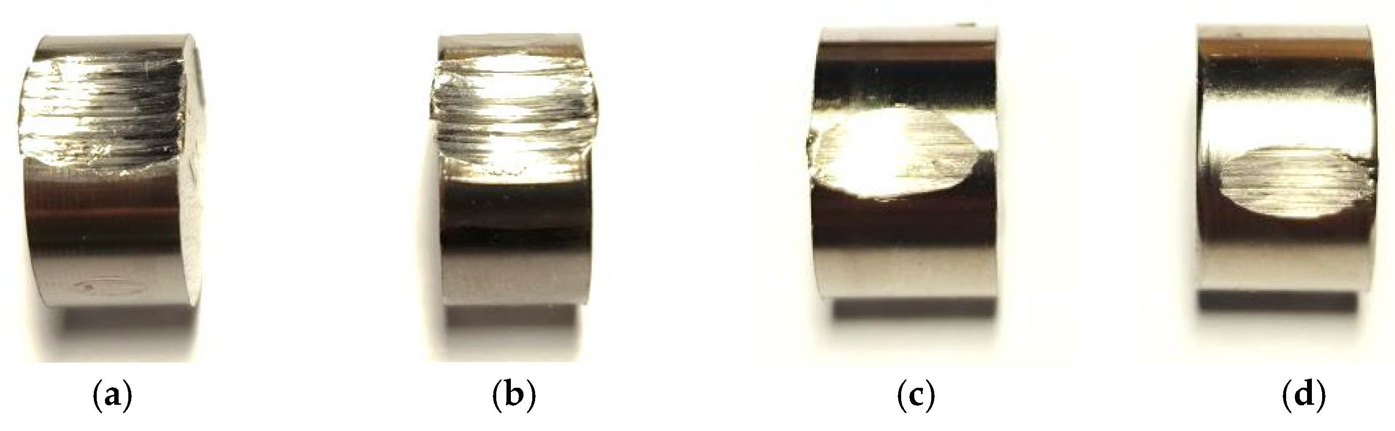 Lubricants 13 00199 g013 Lubricants 13 00199 g013