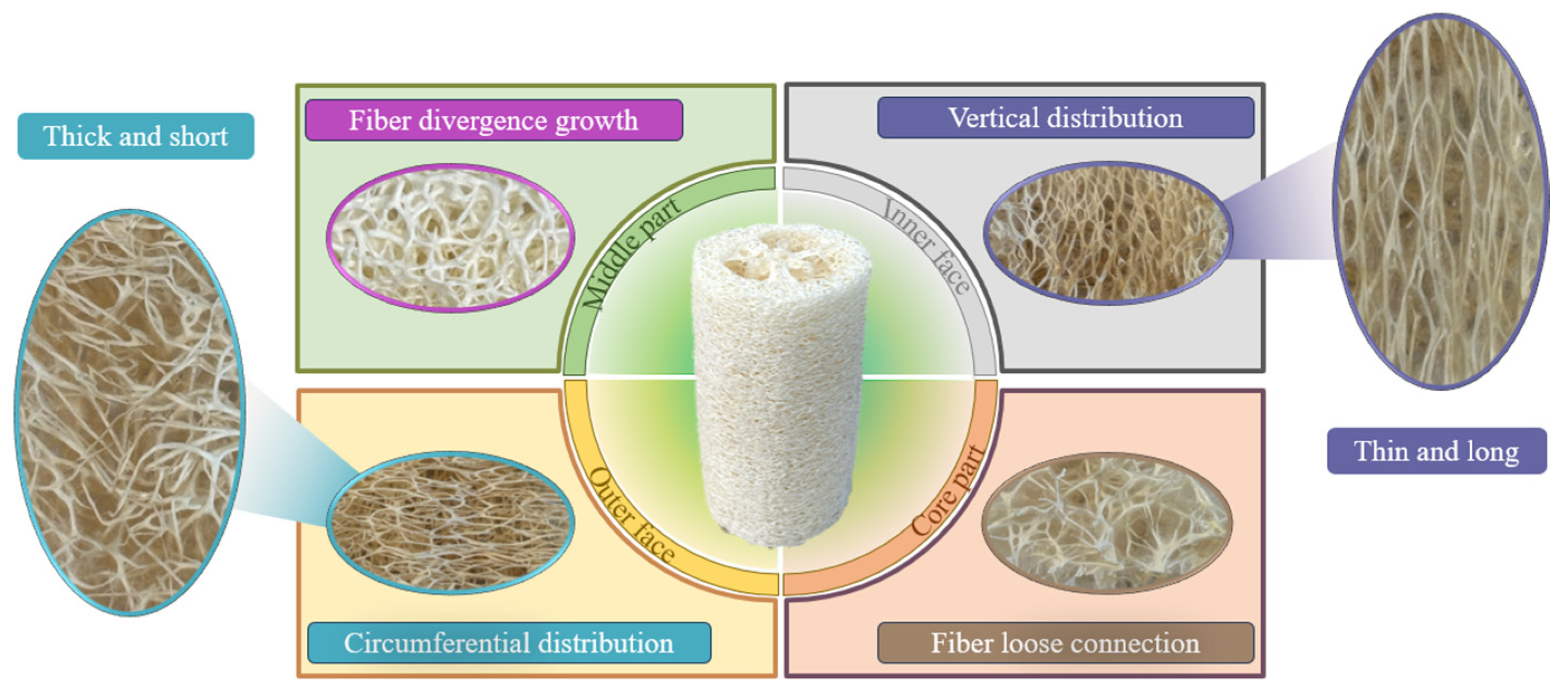 Lubricants 13 00205 g002