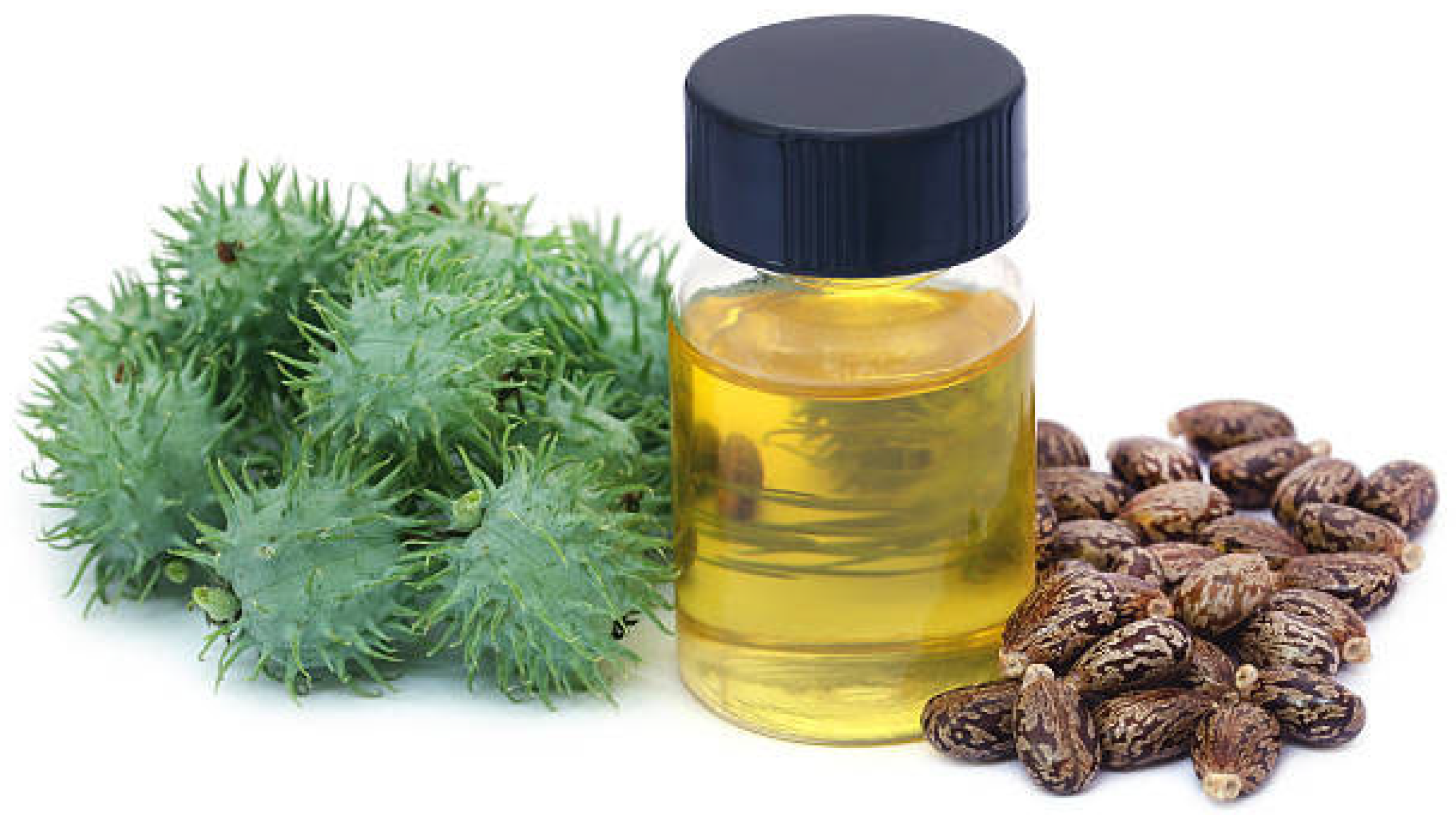 Lubricants 13 00206 g002