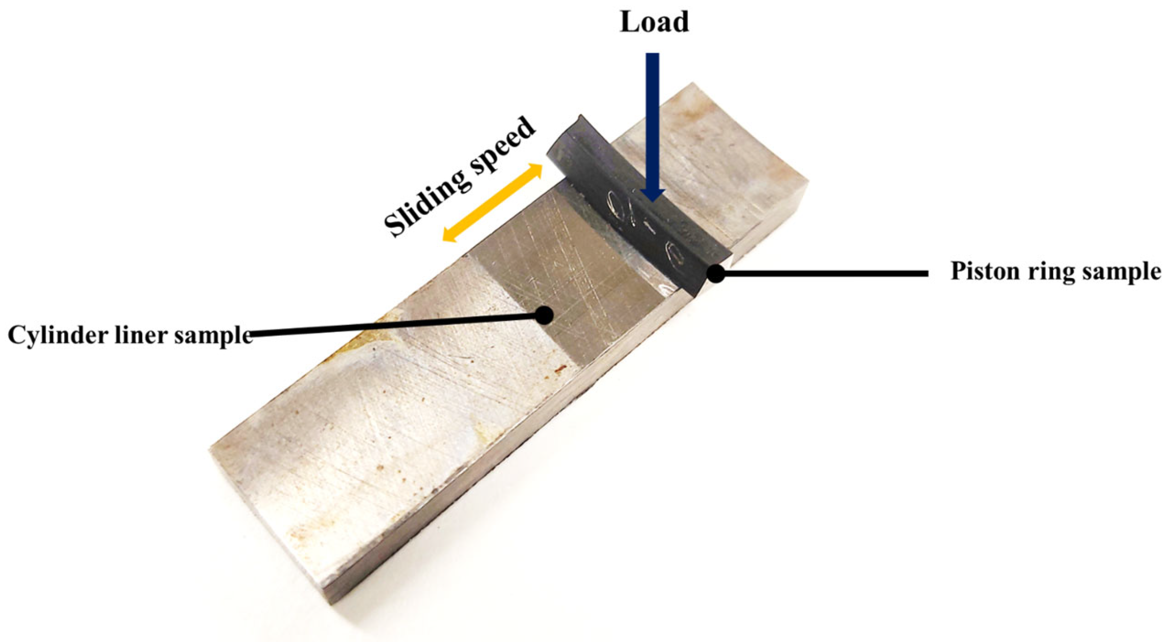 Lubricants 13 00206 g004