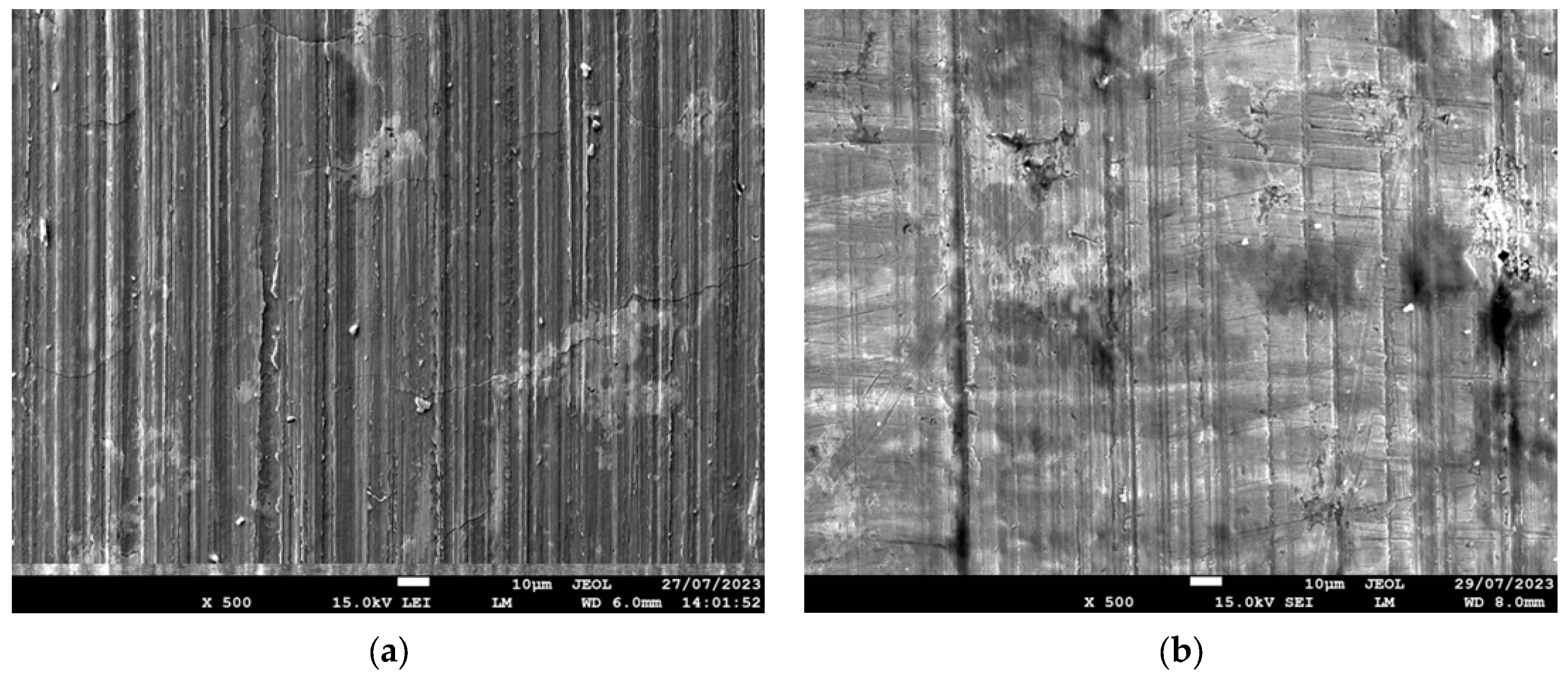 Lubricants 13 00206 g009