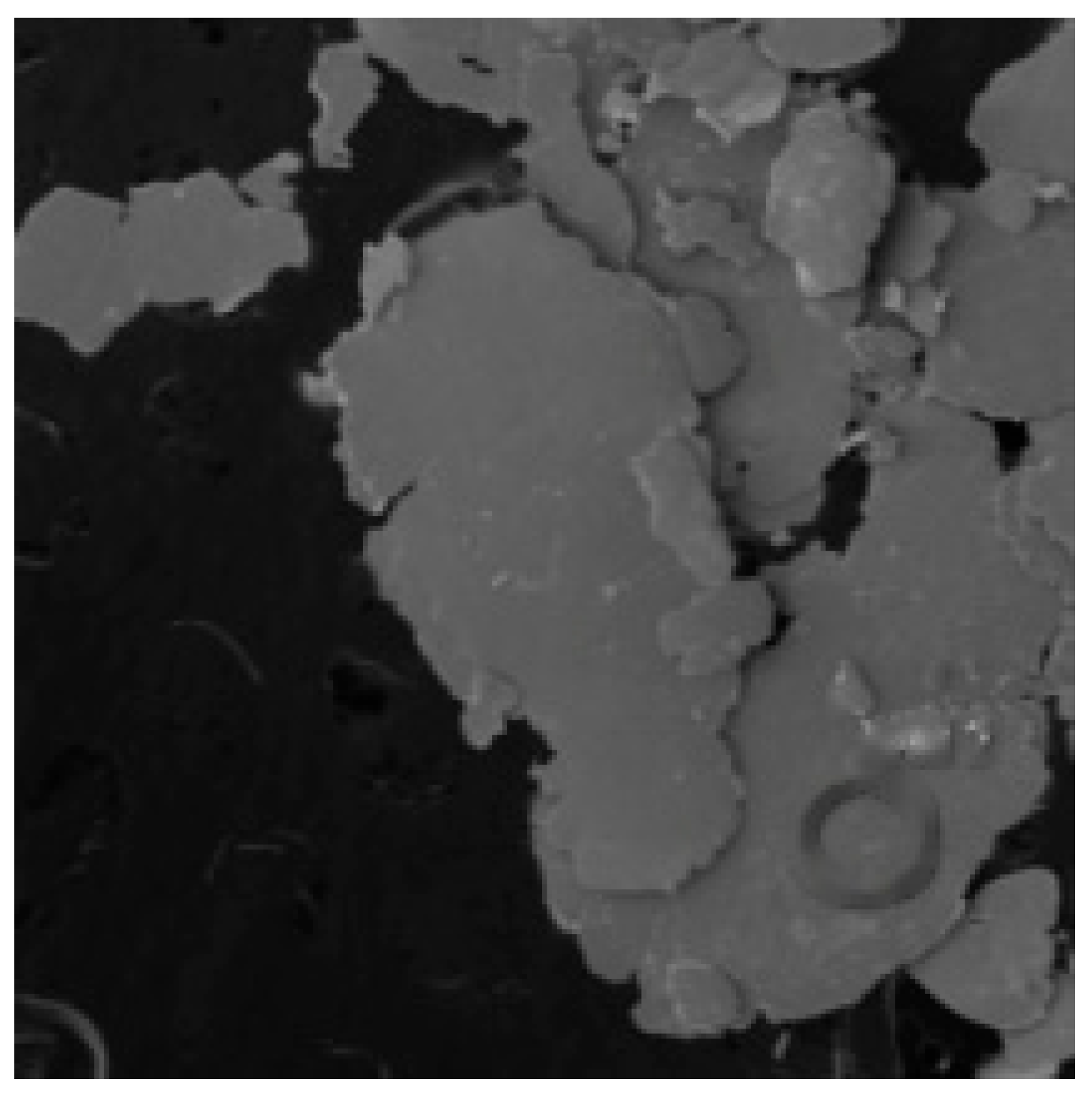 Lubricants 13 00208 g003