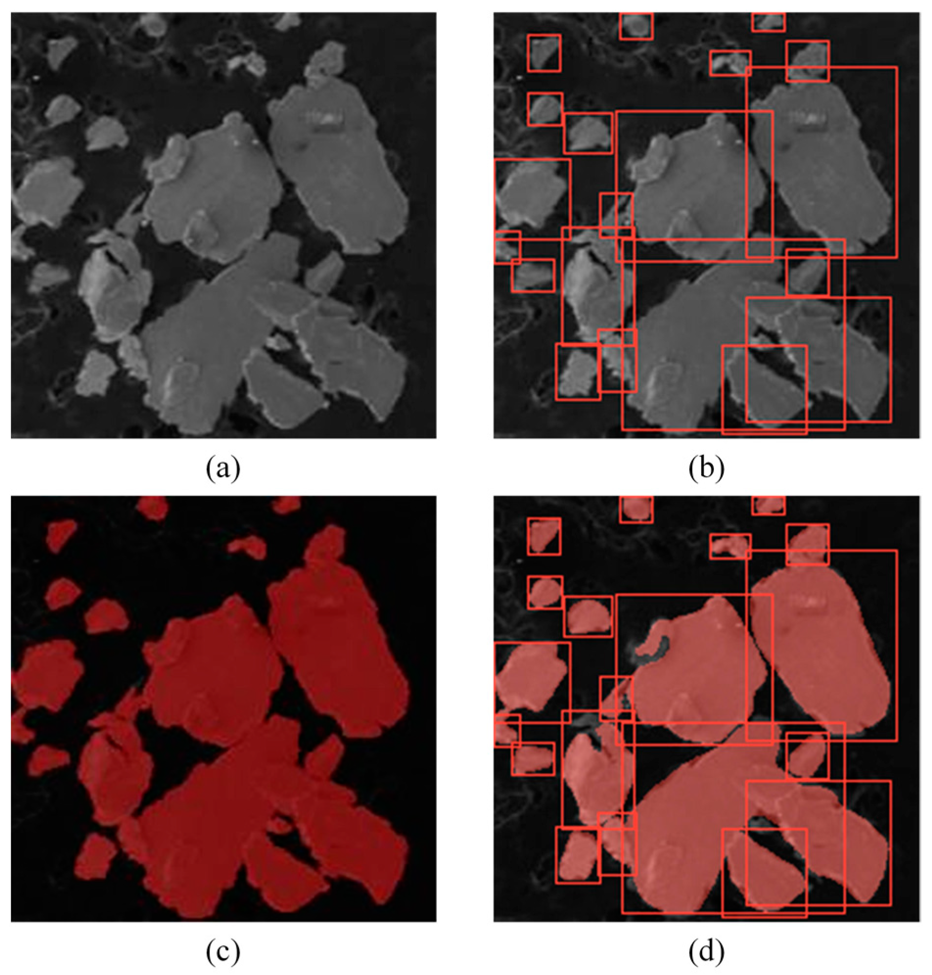 Lubricants 13 00208 g004