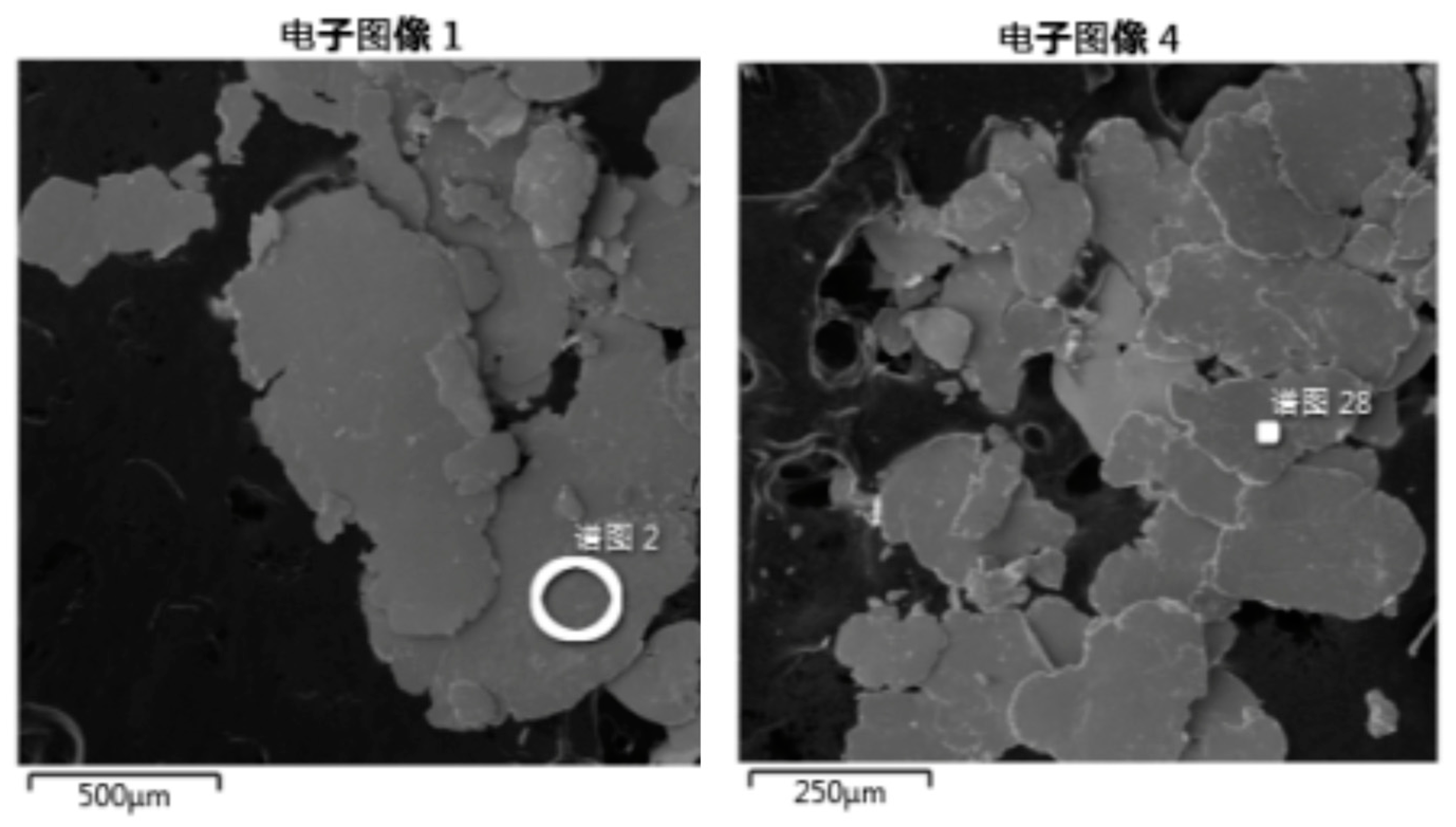 Lubricants 13 00208 g008