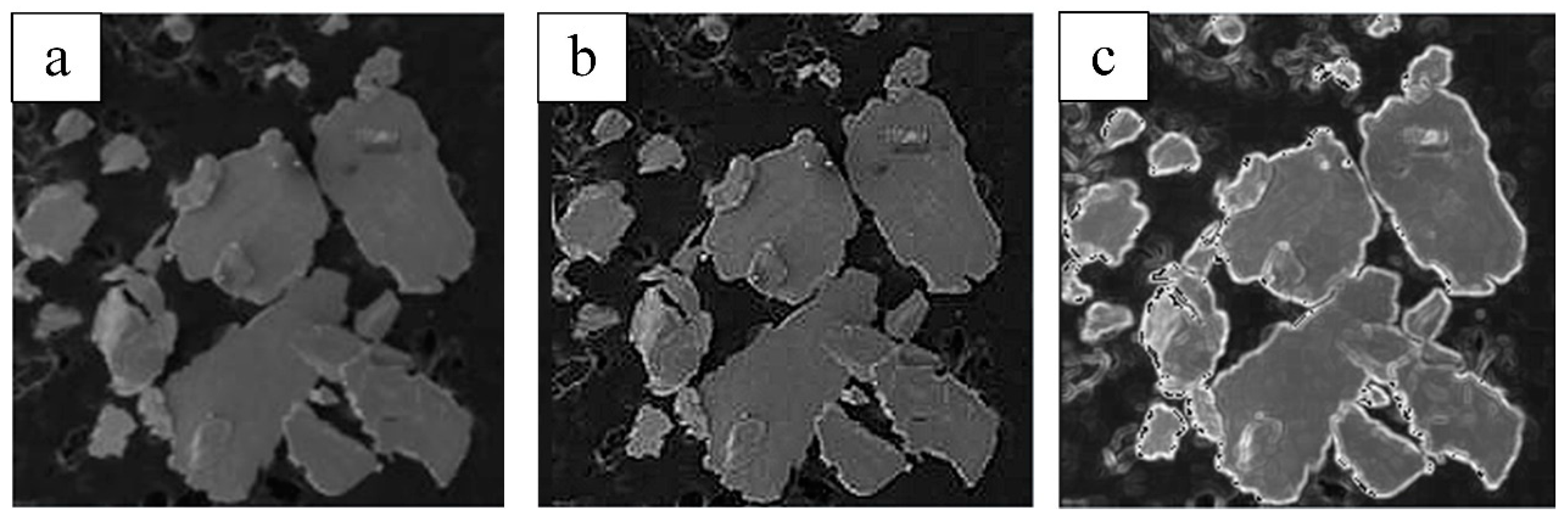 Lubricants 13 00208 g015