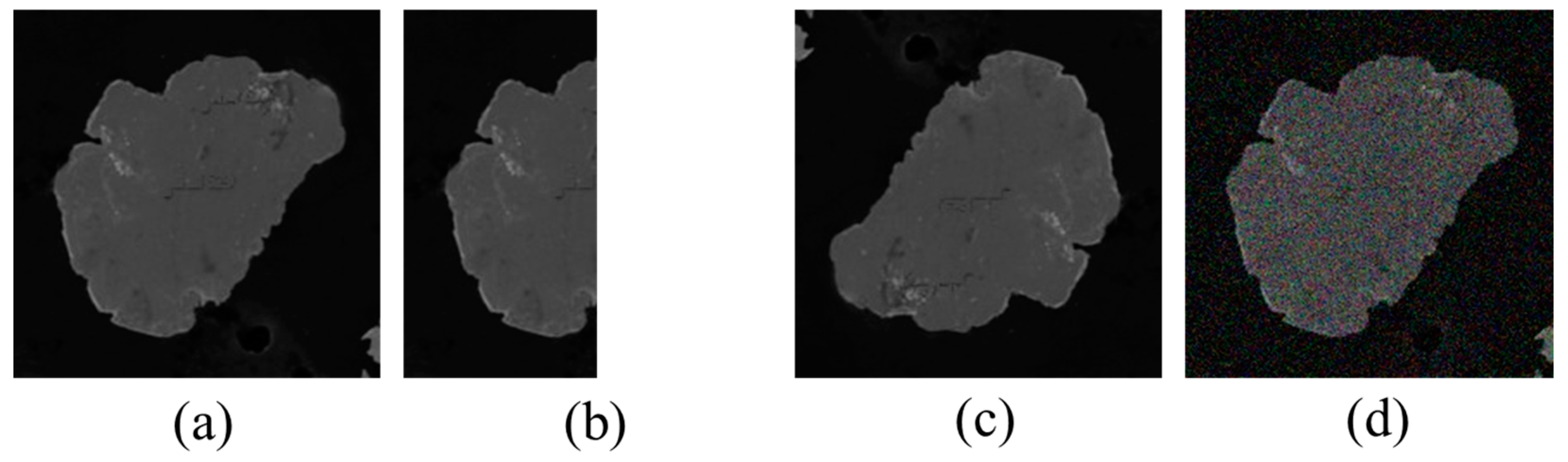 Lubricants 13 00208 g017