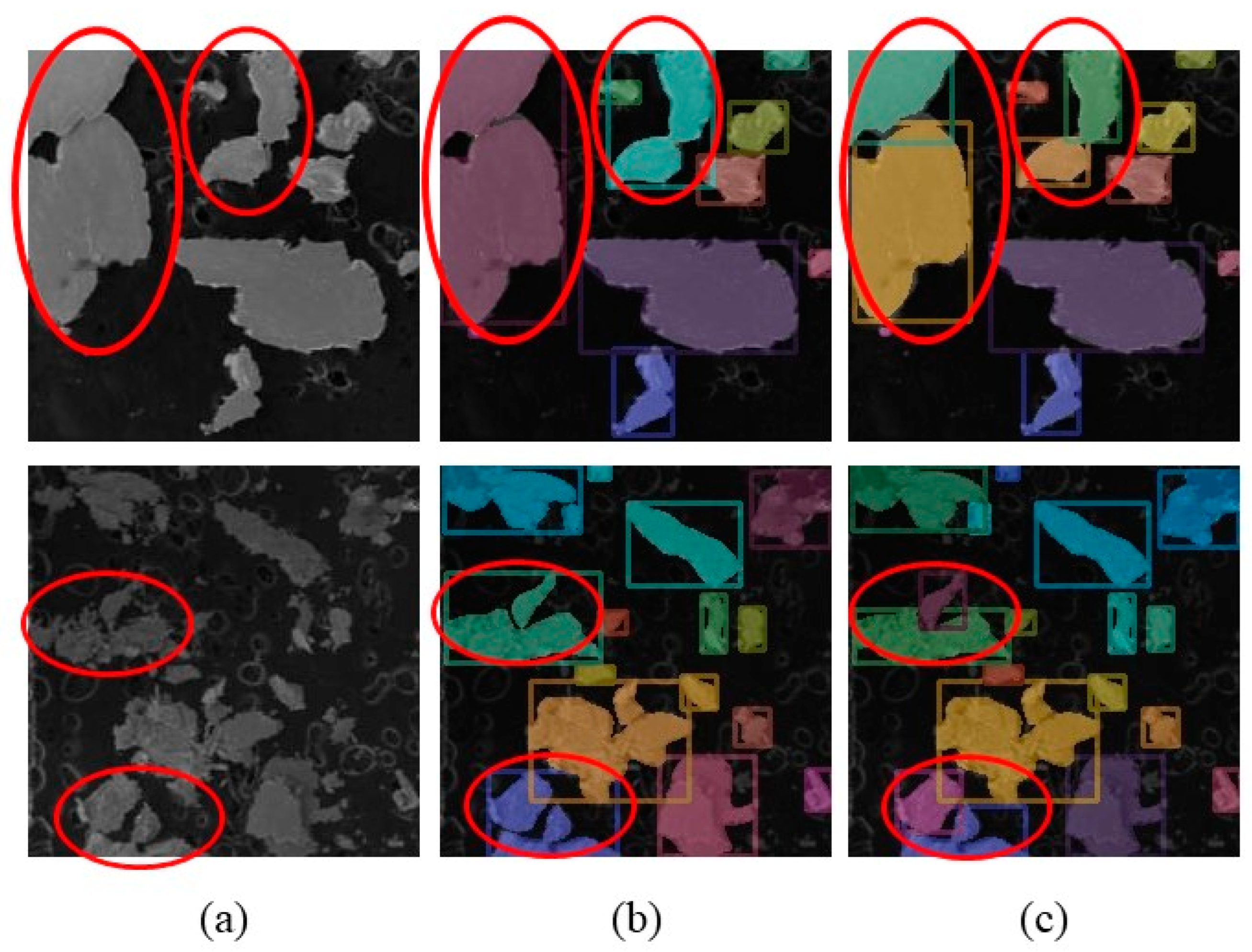 Lubricants 13 00208 g019