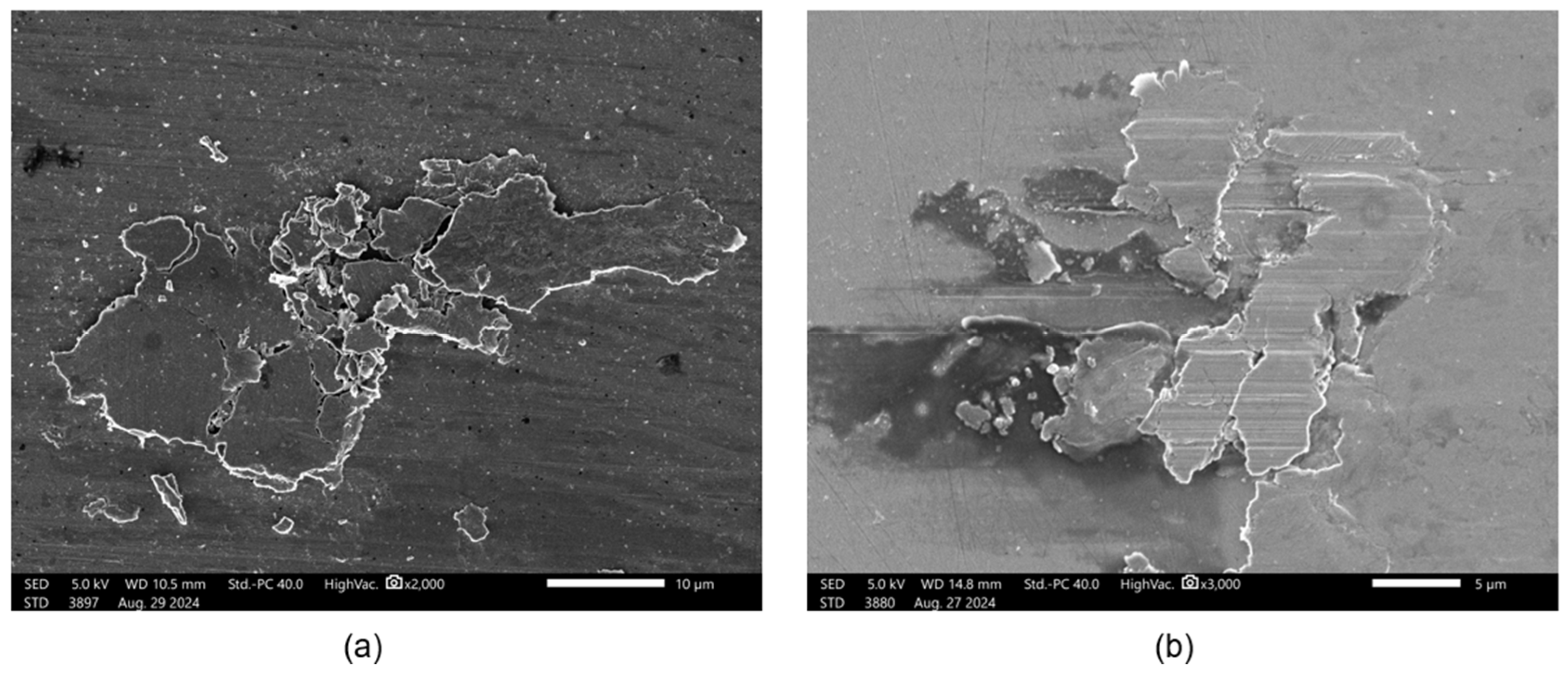 Lubricants 13 00209 g007