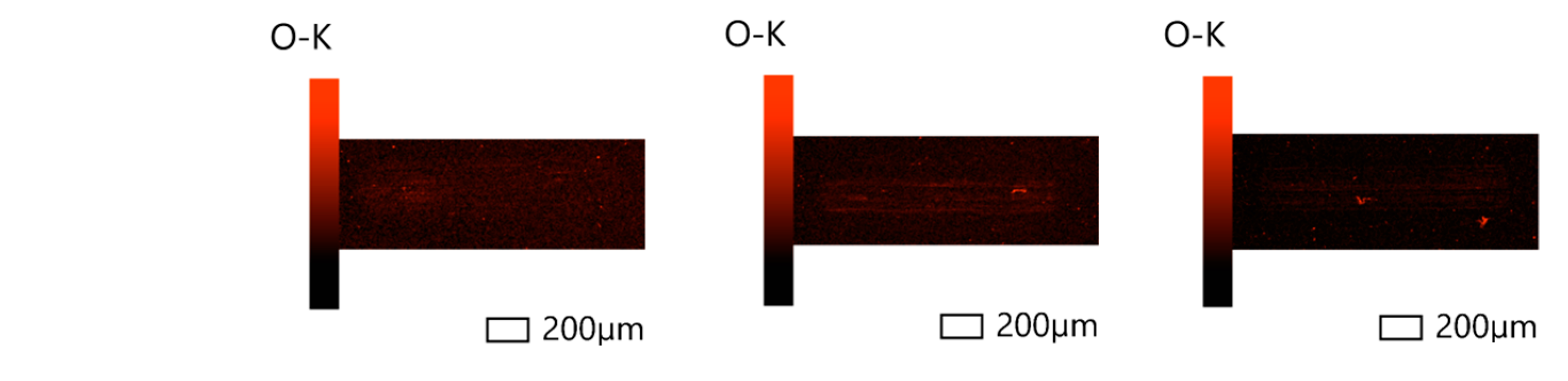 Lubricants 13 00209 g010b