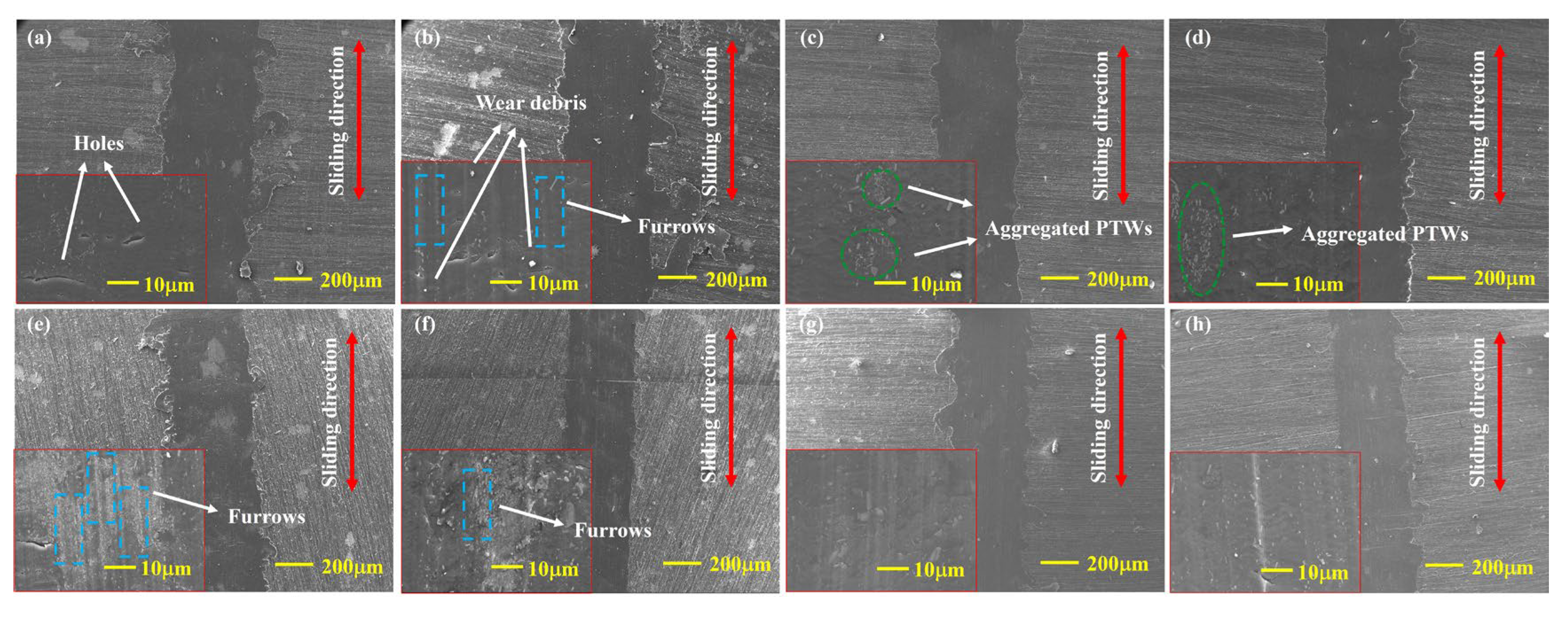 Lubricants 13 00211 g004