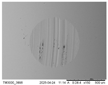 Lubricants 13 00213 i002