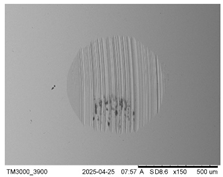 Lubricants 13 00213 i006
