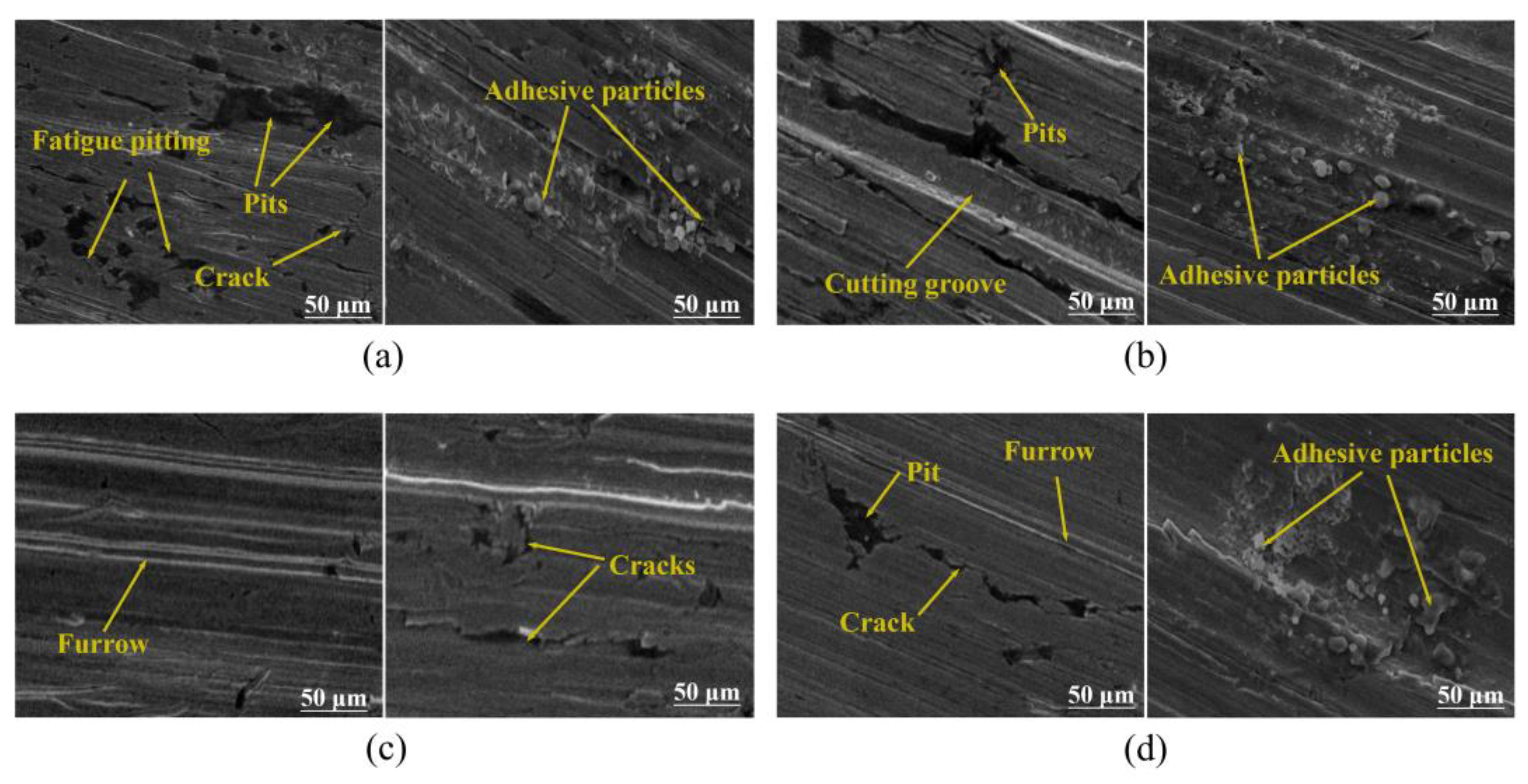 Lubricants 13 00224 g008