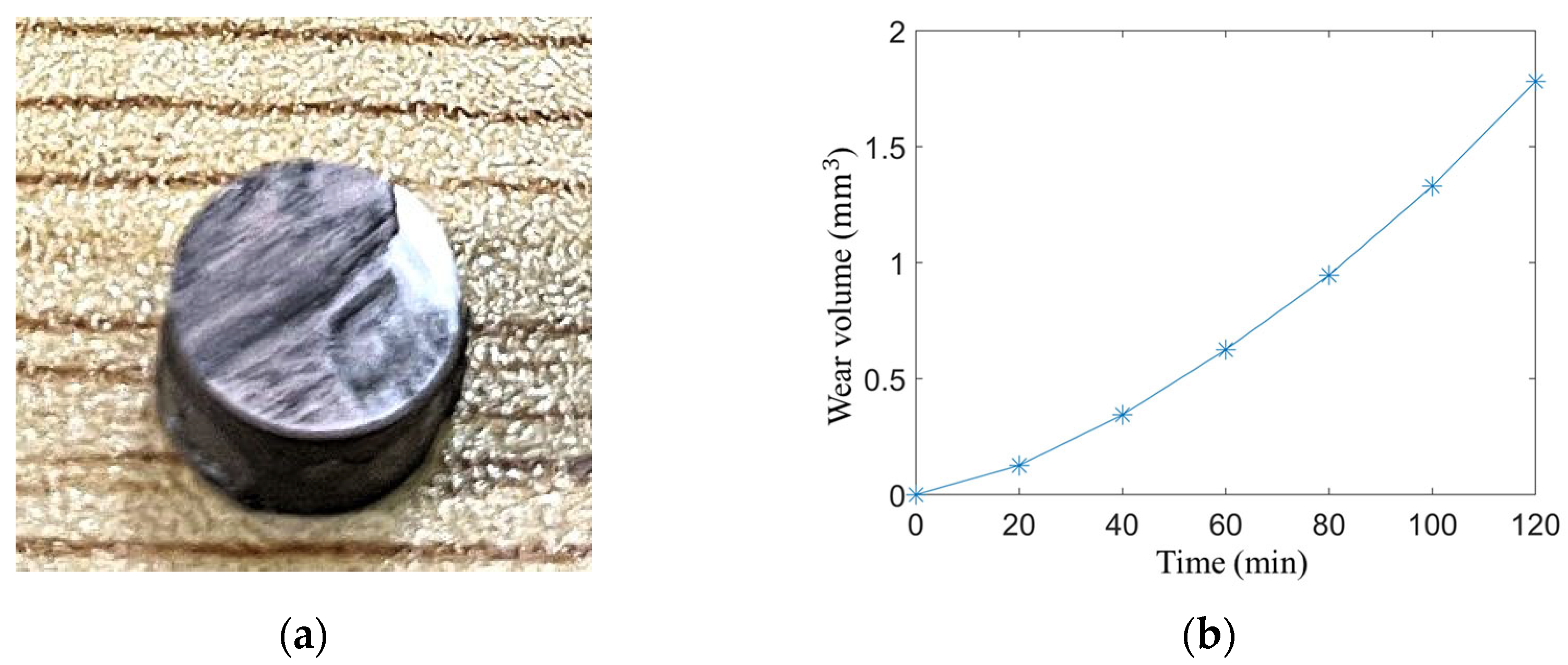 Lubricants 13 00227 g007