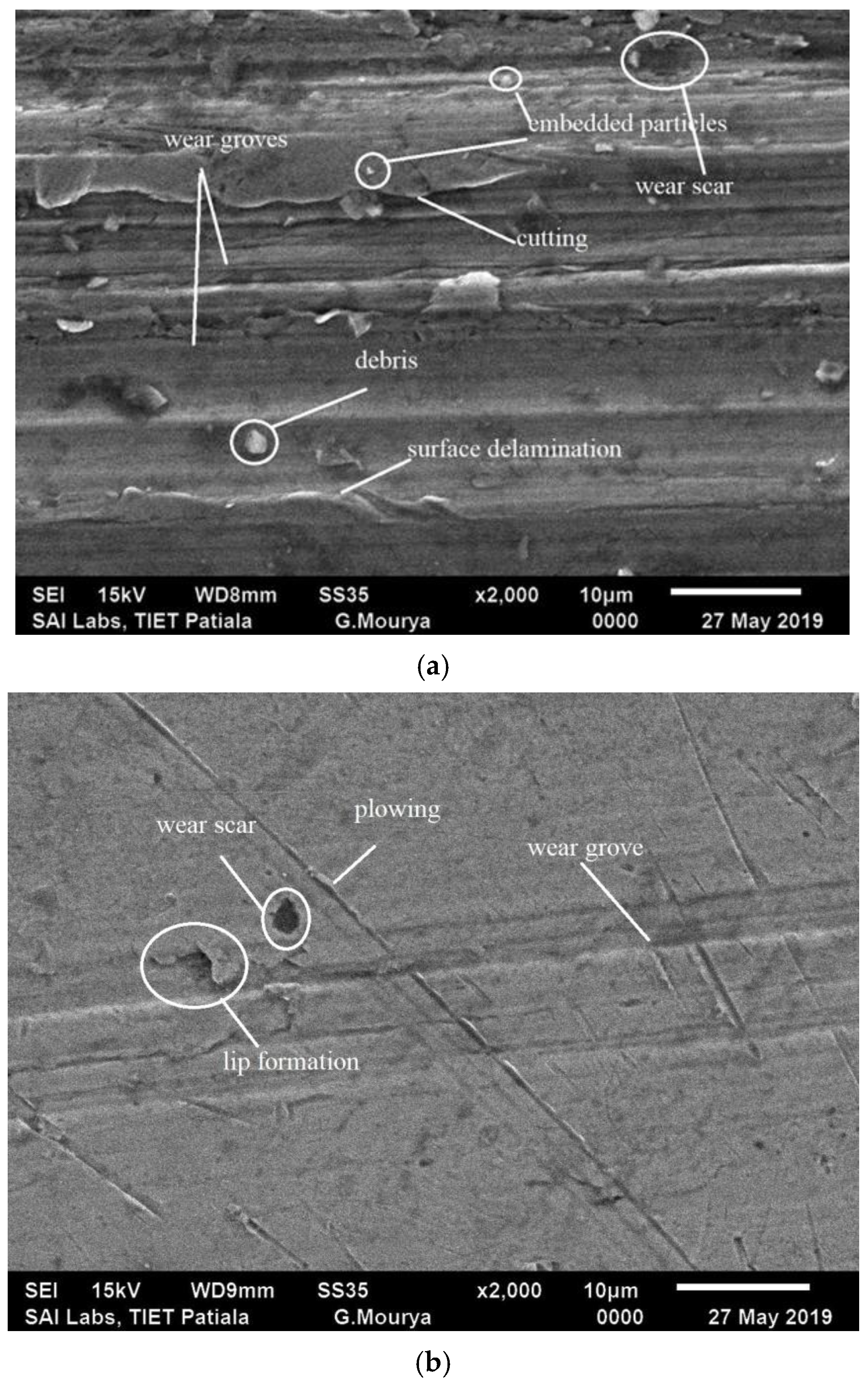 Lubricants 13 00229 g010