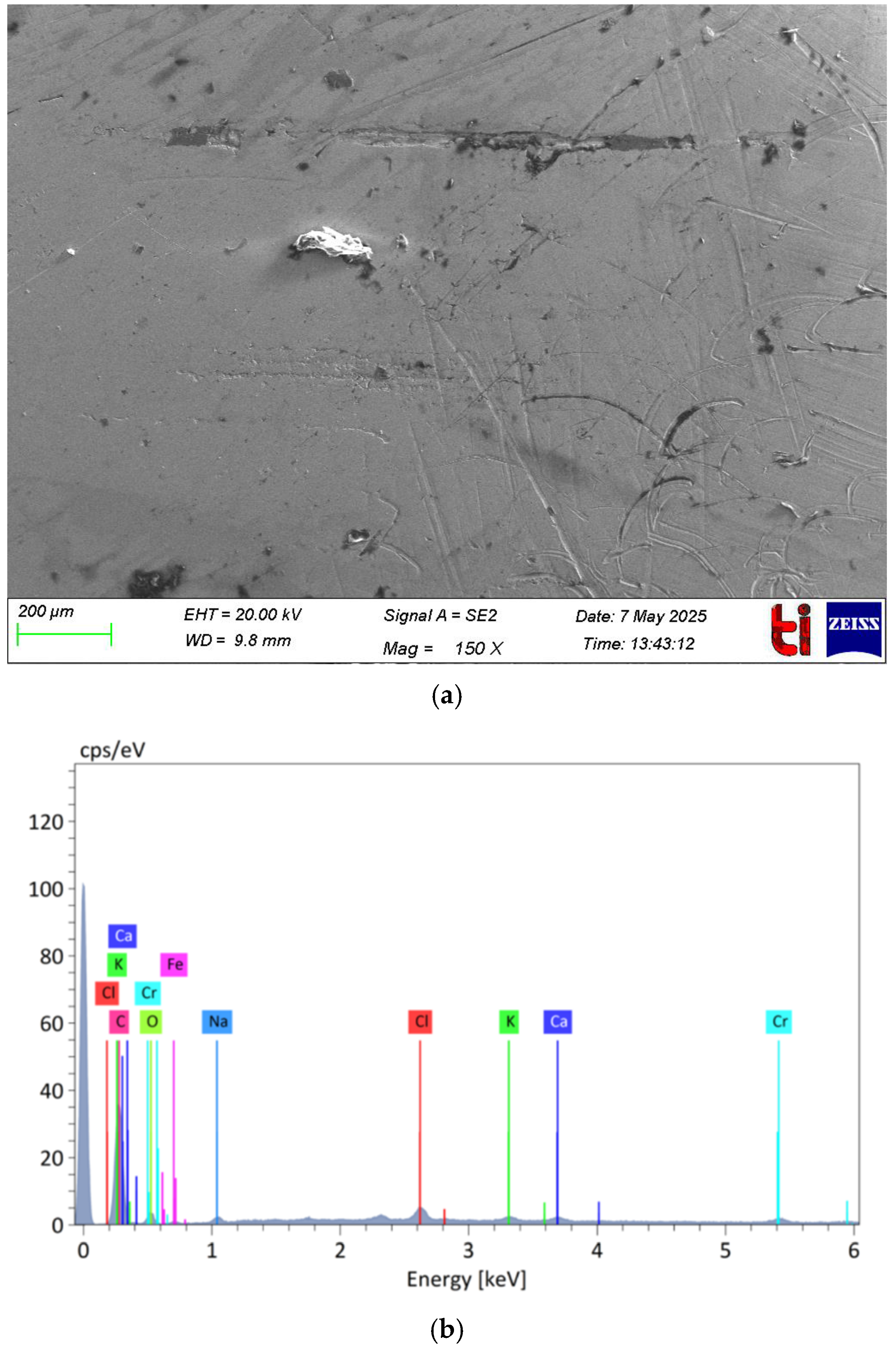 Lubricants 13 00229 g011