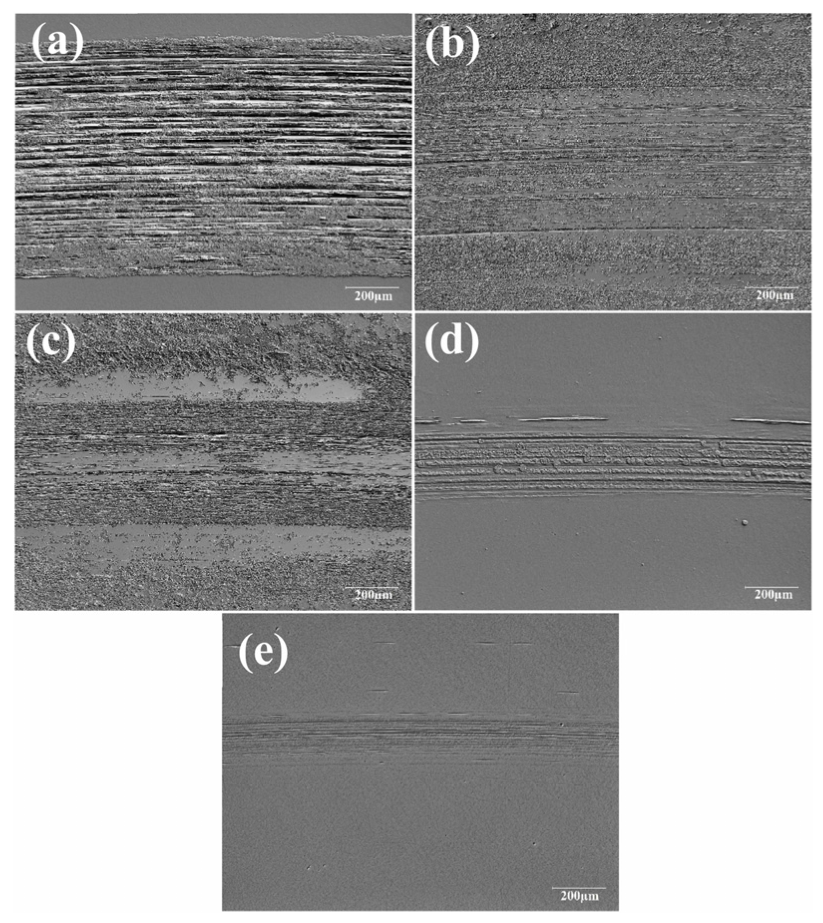 Lubricants 13 00232 g008