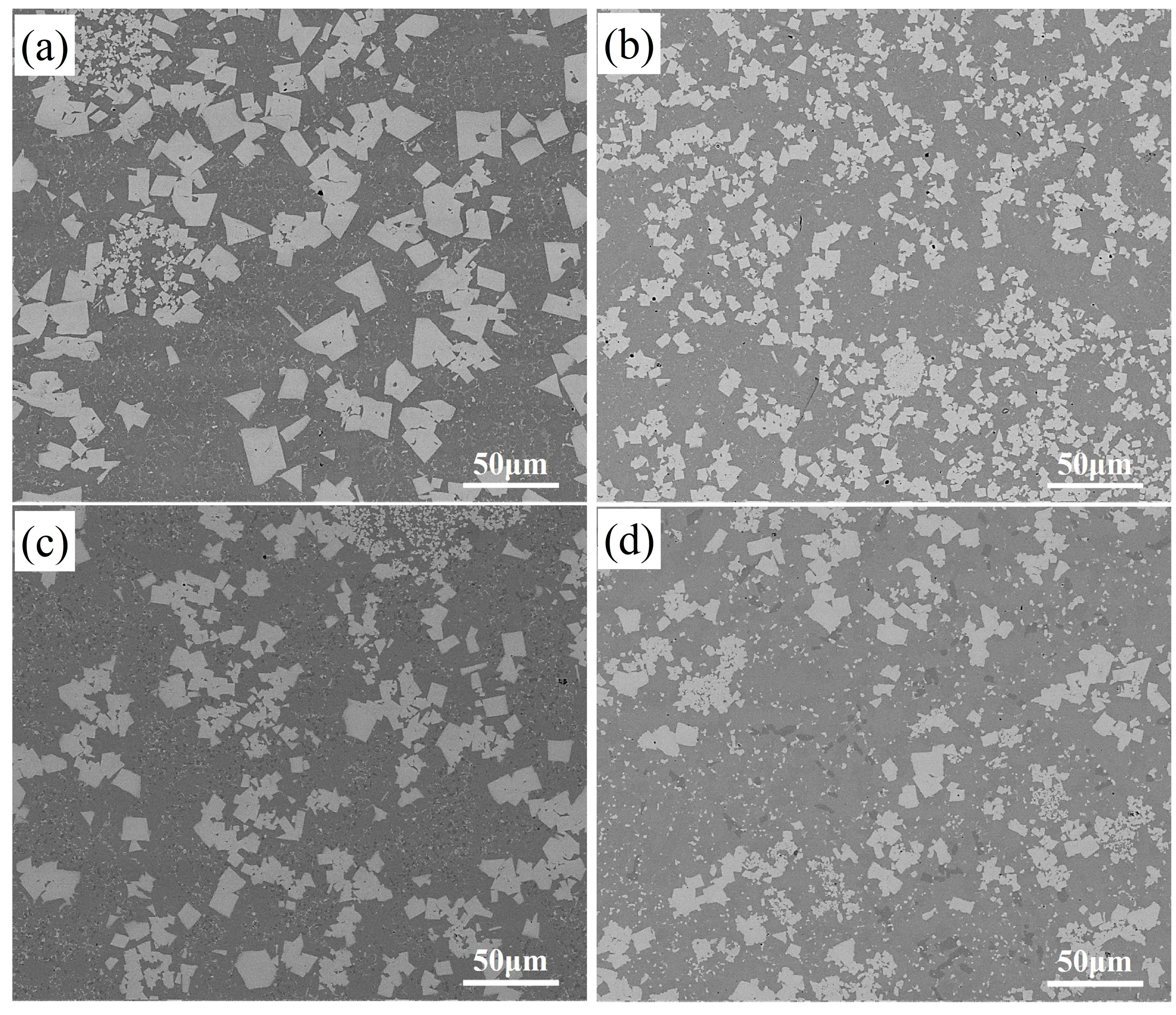 Lubricants 13 00233 g003