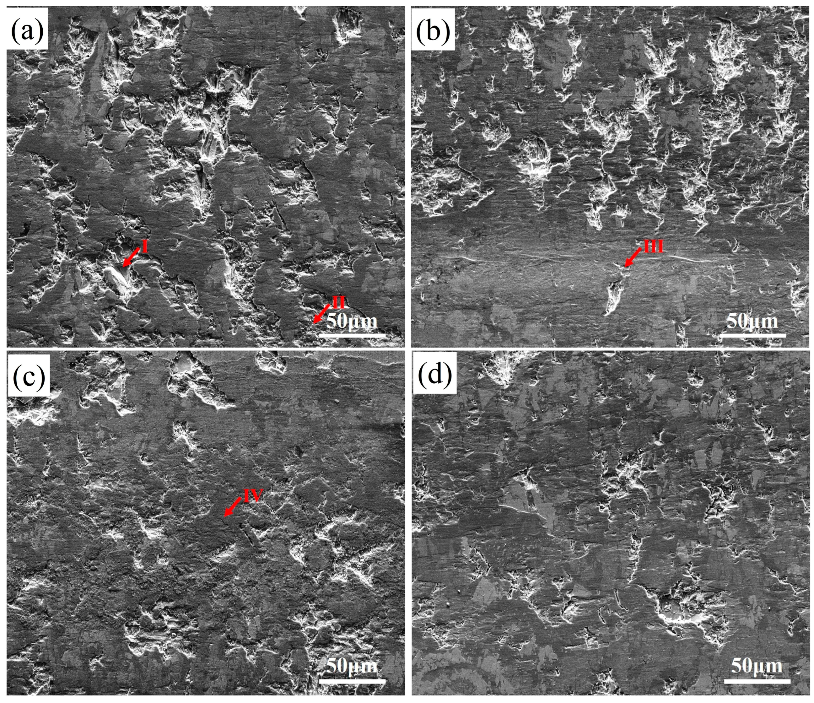 Lubricants 13 00233 g008