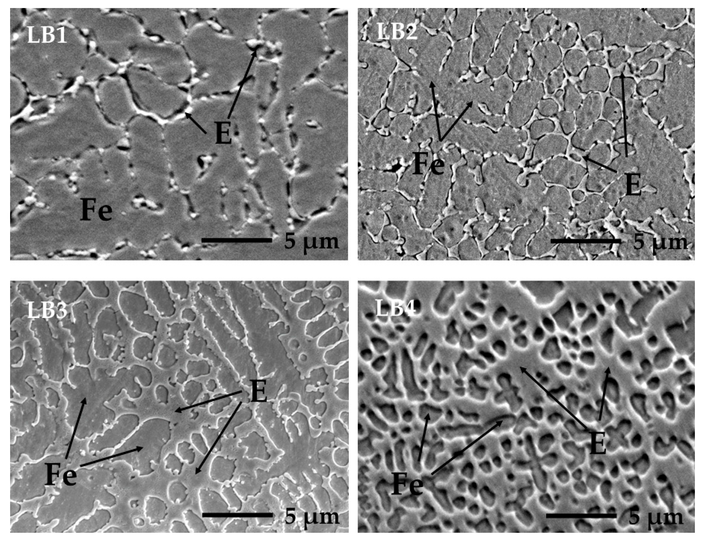 Lubricants 13 00236 g006