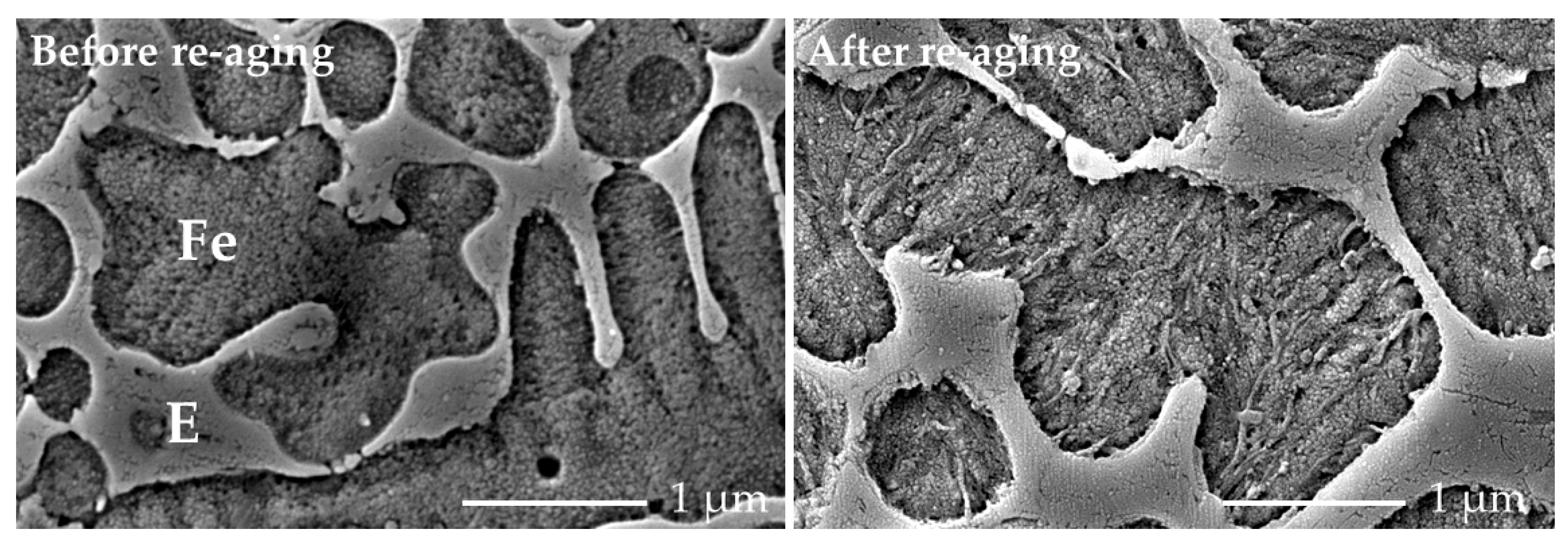 Lubricants 13 00236 g011