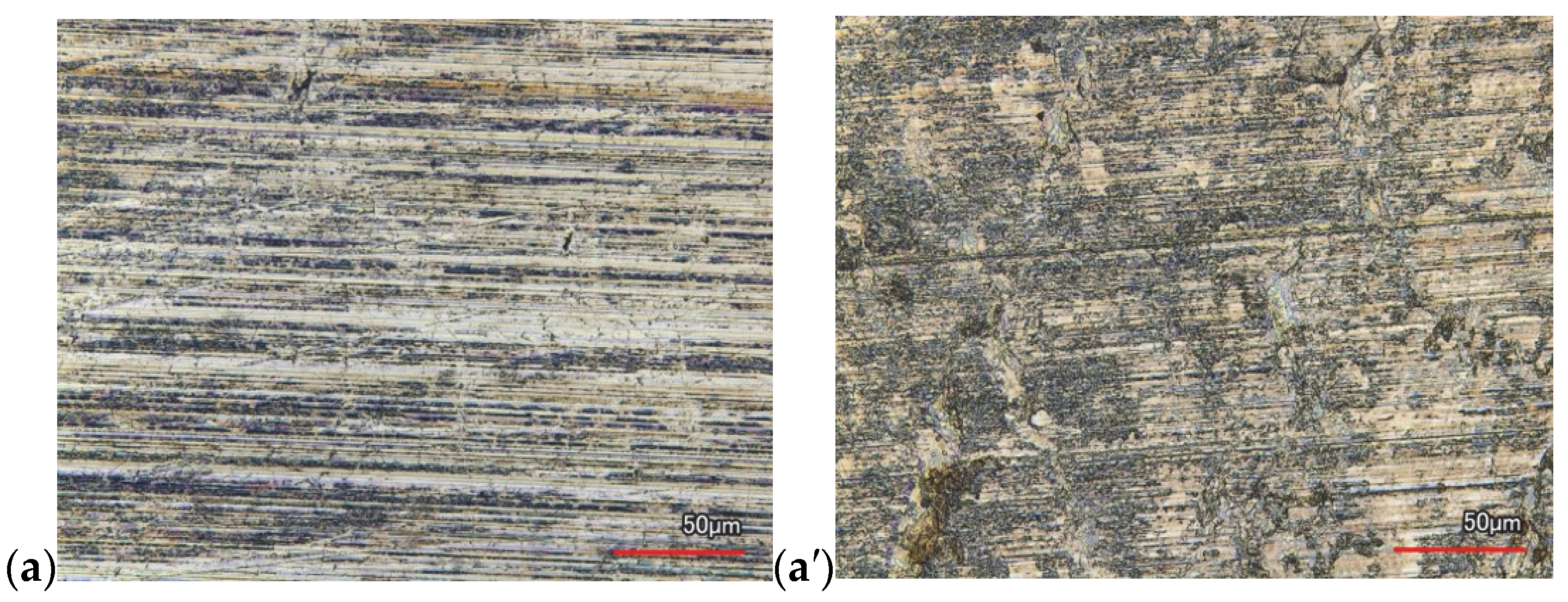 Lubricants 13 00237 g006a