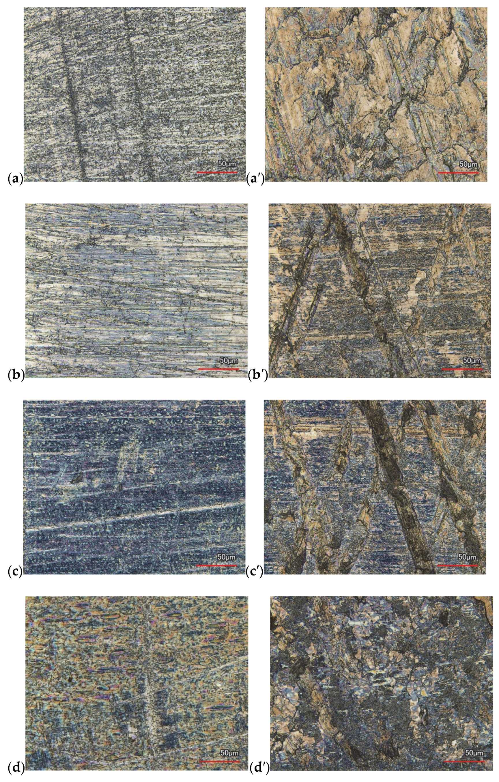 Lubricants 13 00237 g007