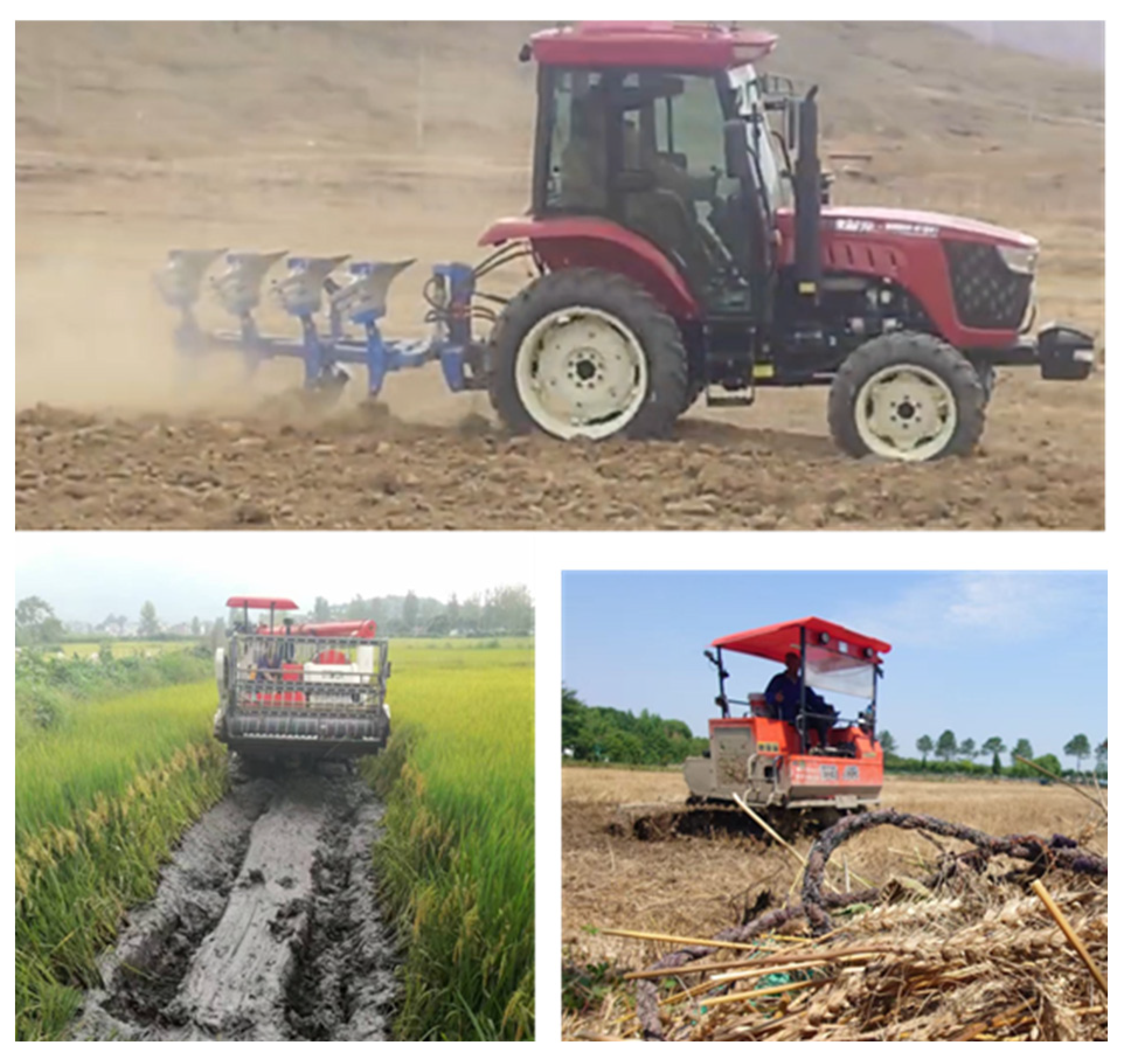 Lubricants 13 00239 g007 Lubricants 13 00239 g007