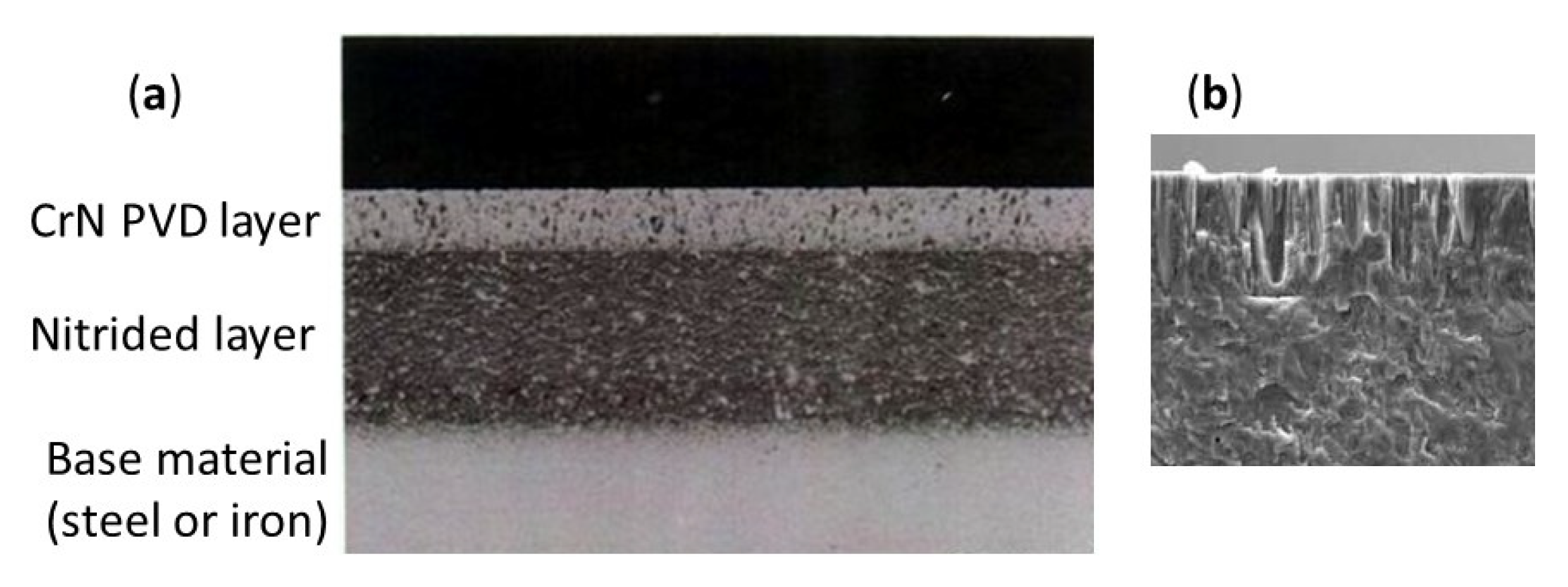 Lubricants 13 00239 g009 Lubricants 13 00239 g009