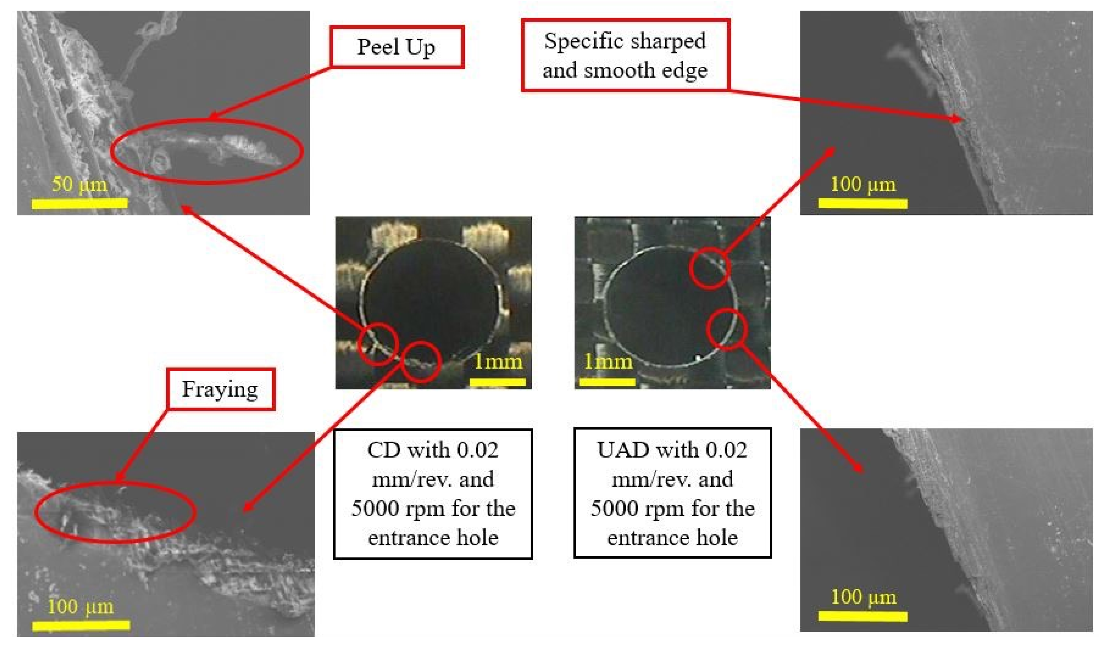 Lubricants 13 00241 g009