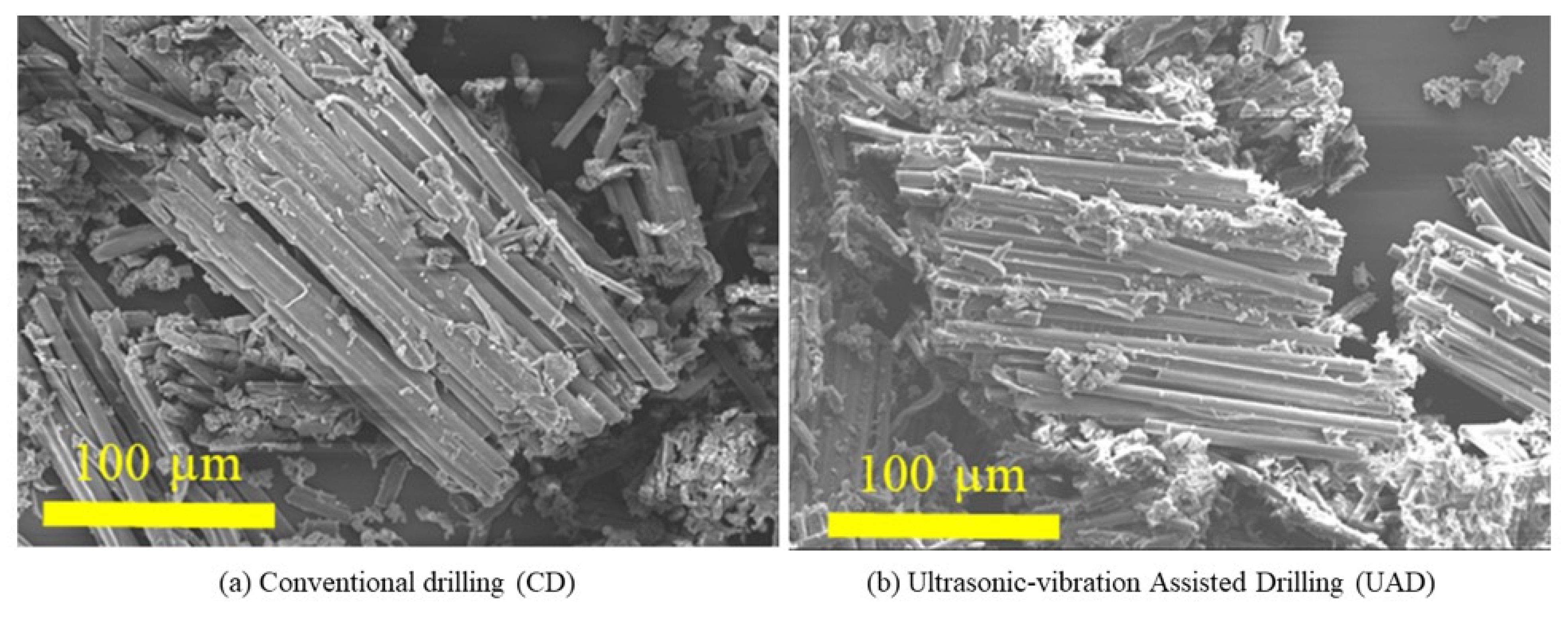 Lubricants 13 00241 g011