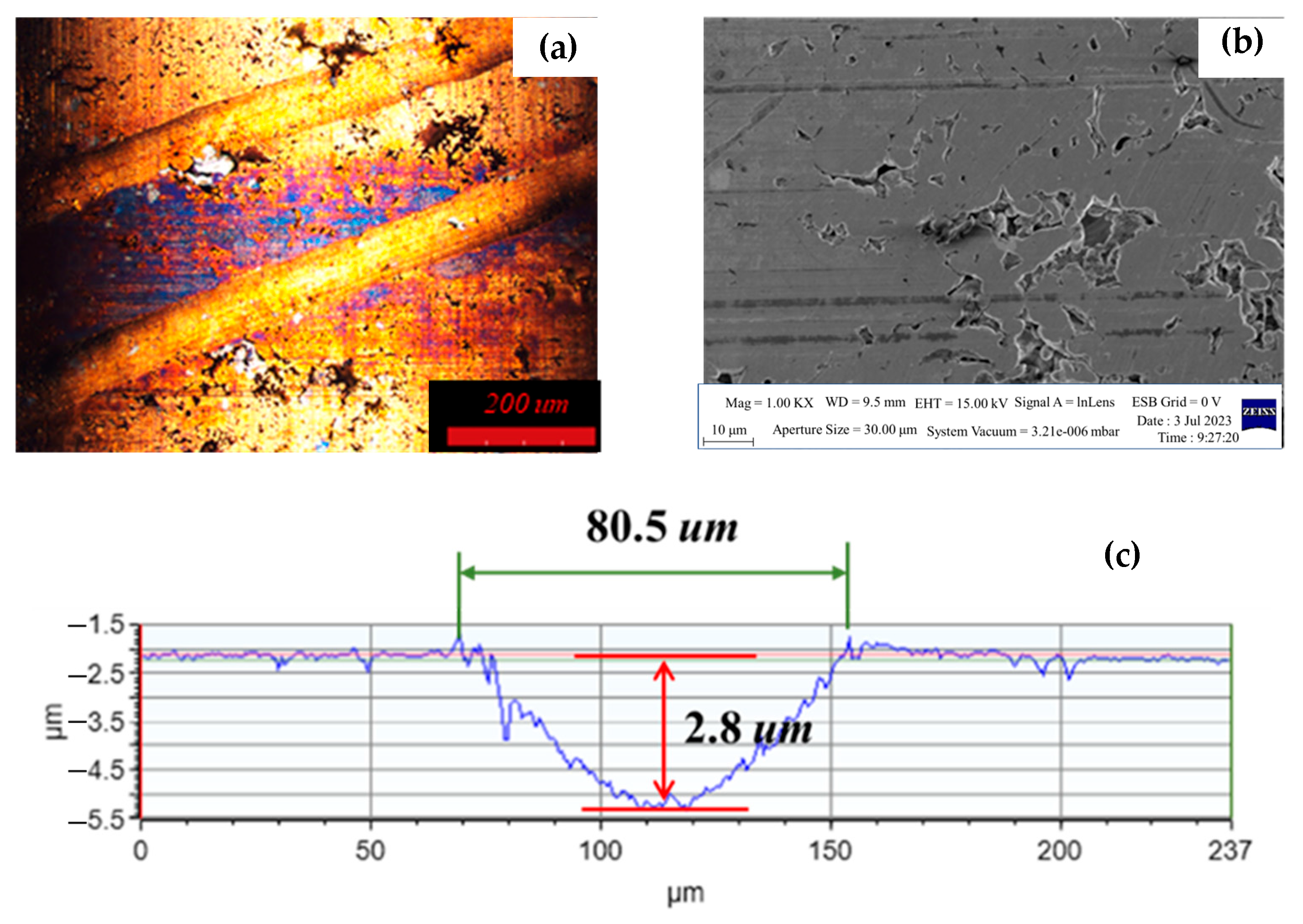Lubricants 13 00245 g011 Lubricants 13 00245 g011