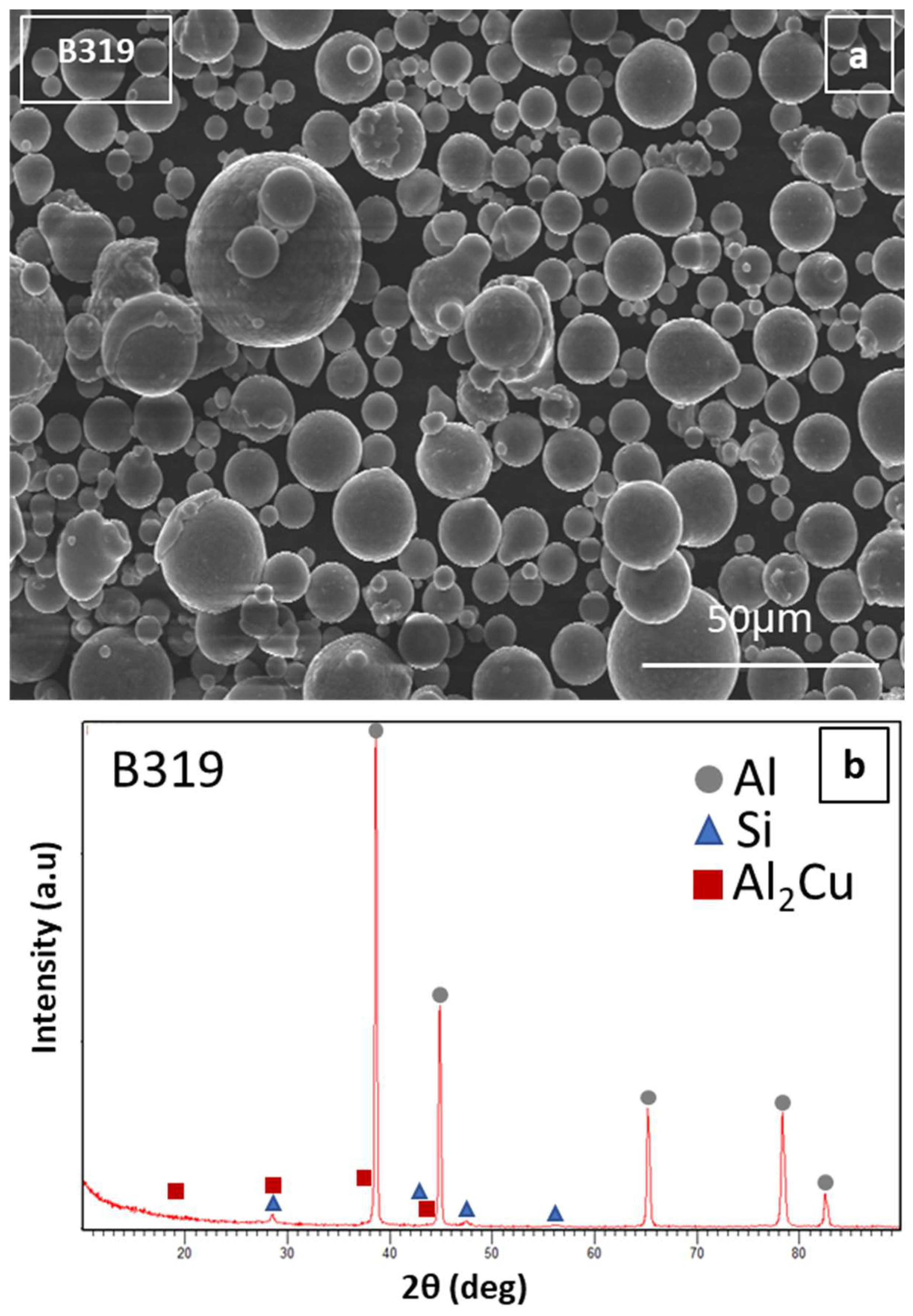 Lubricants 13 00247 g001