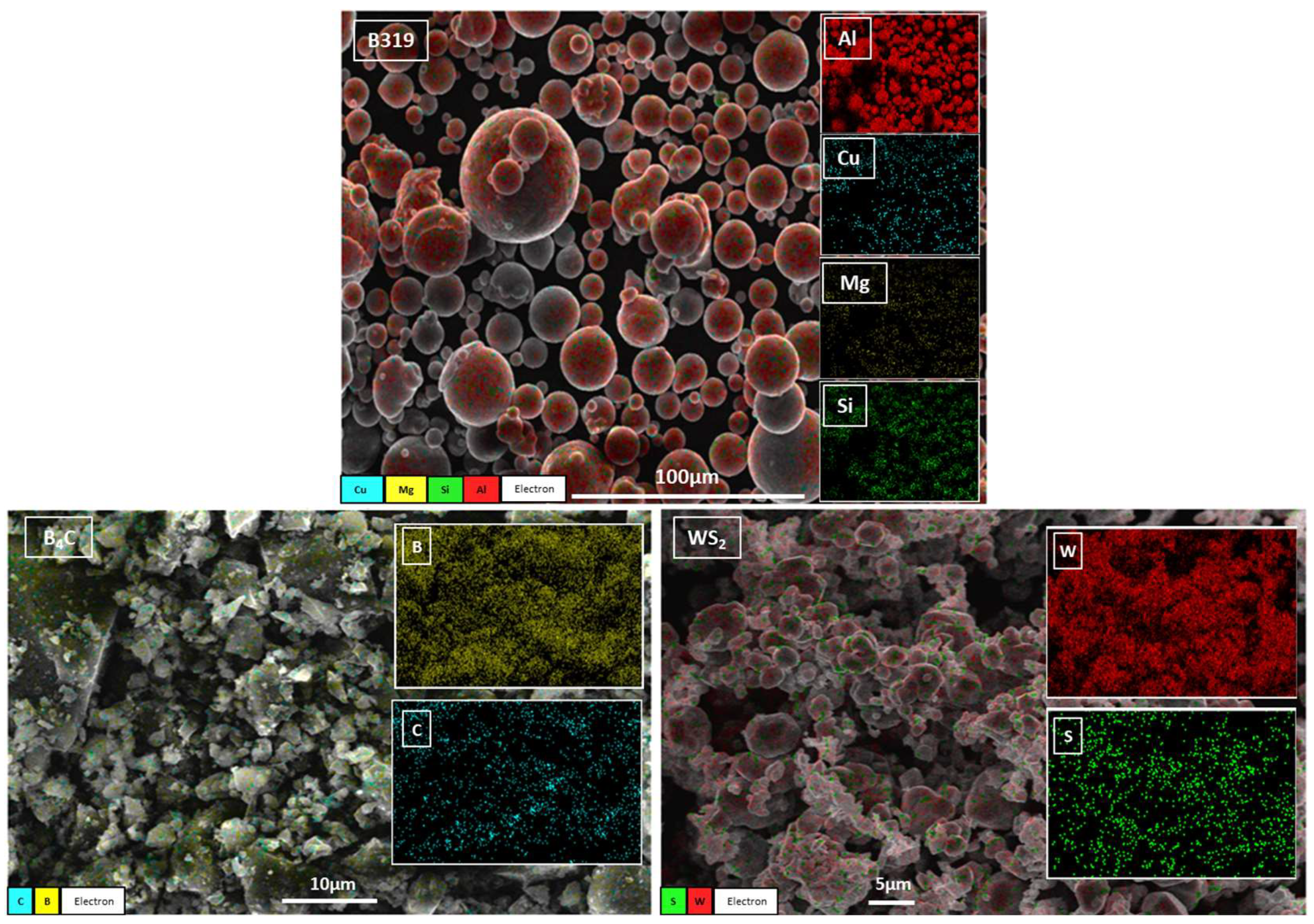 Lubricants 13 00247 g002