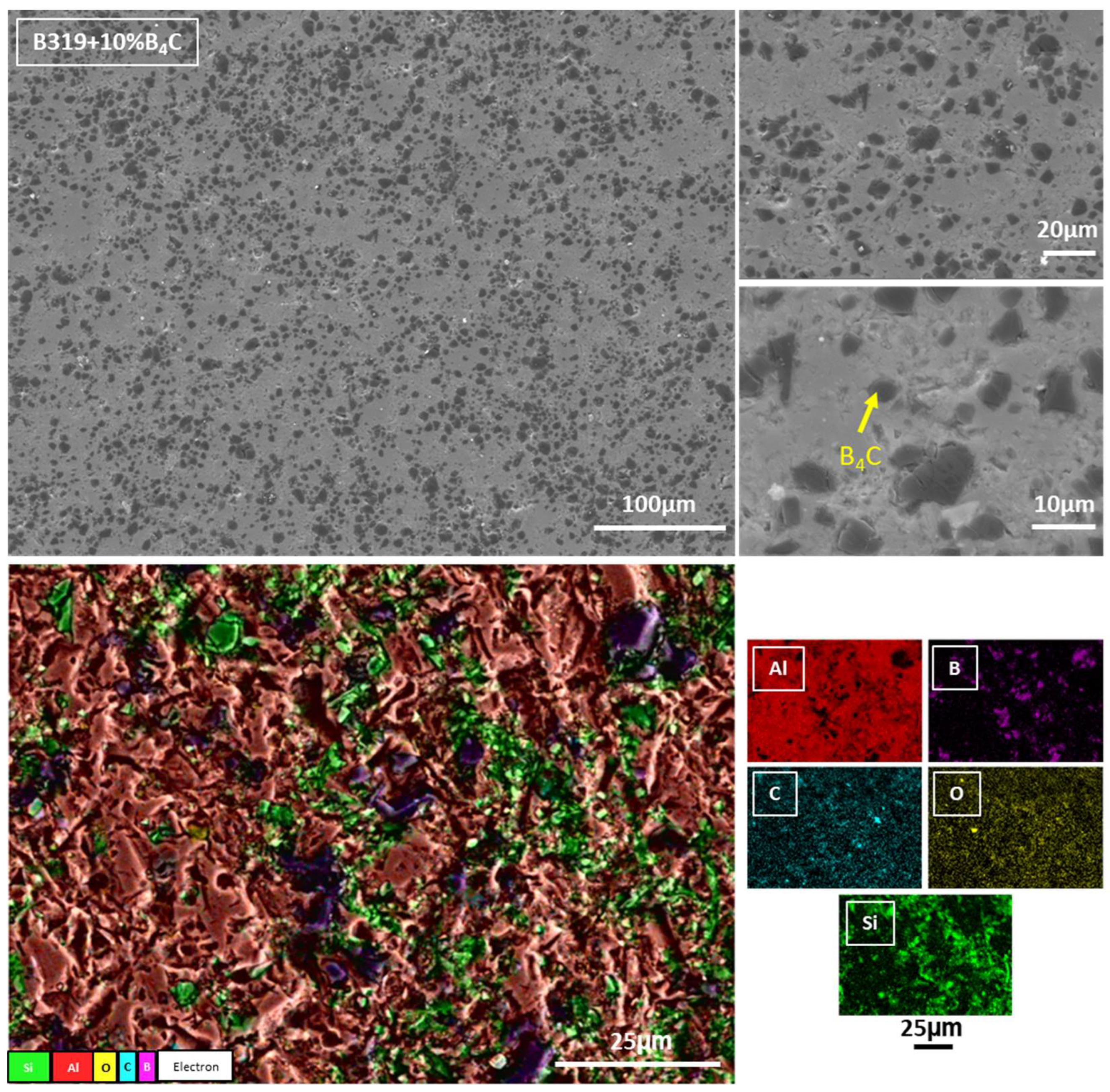 Lubricants 13 00247 g005