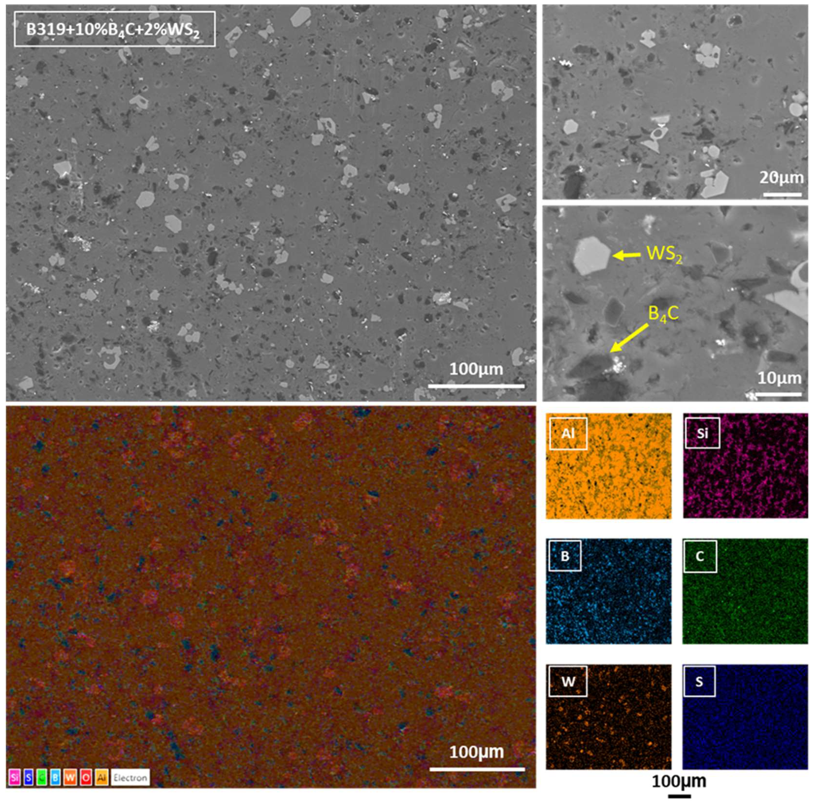 Lubricants 13 00247 g006