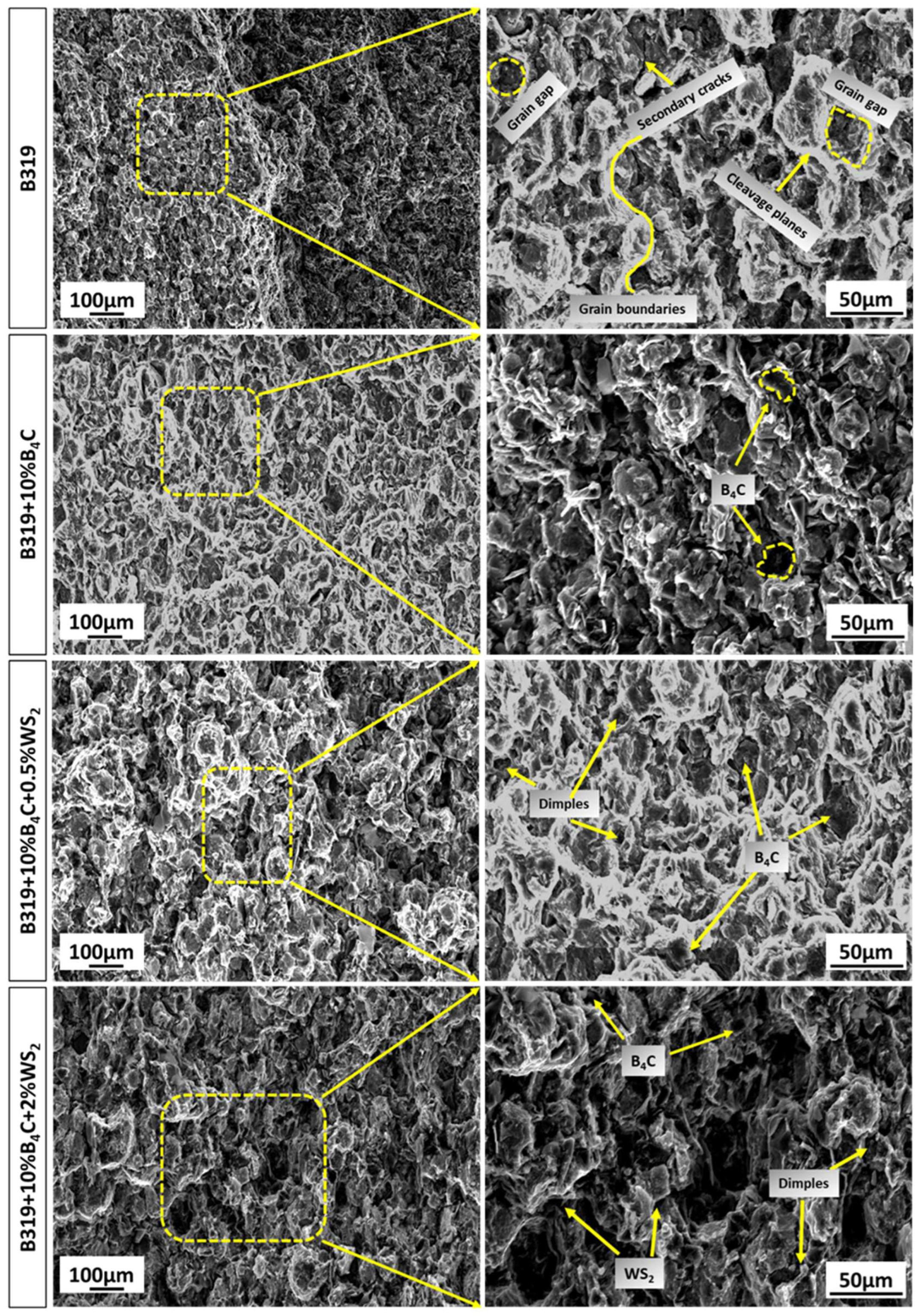 Lubricants 13 00247 g009