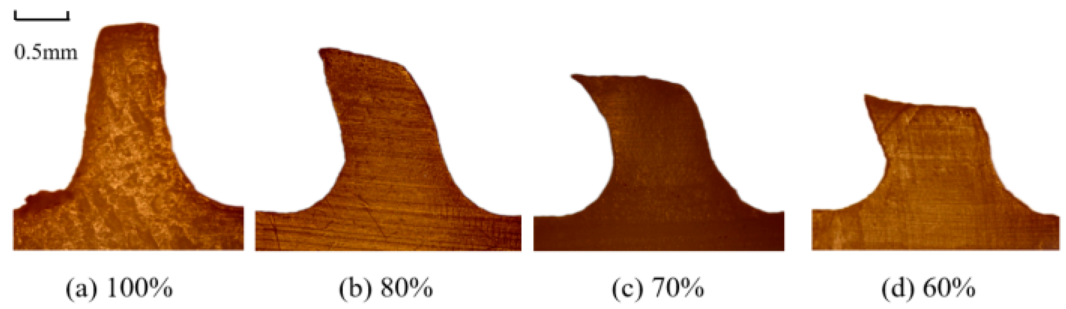Lubricants 13 00250 g014