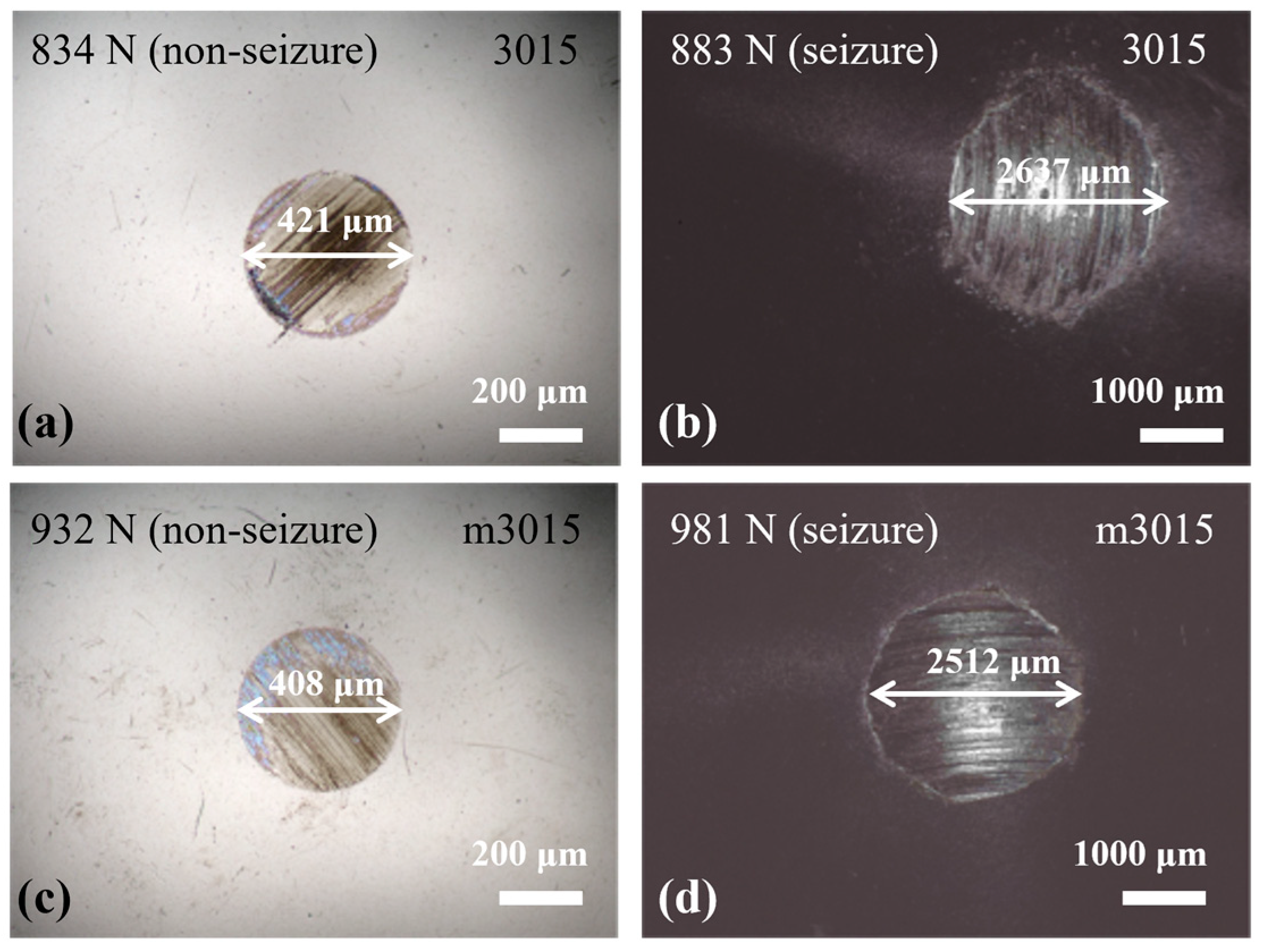 Lubricants 13 00252 g015