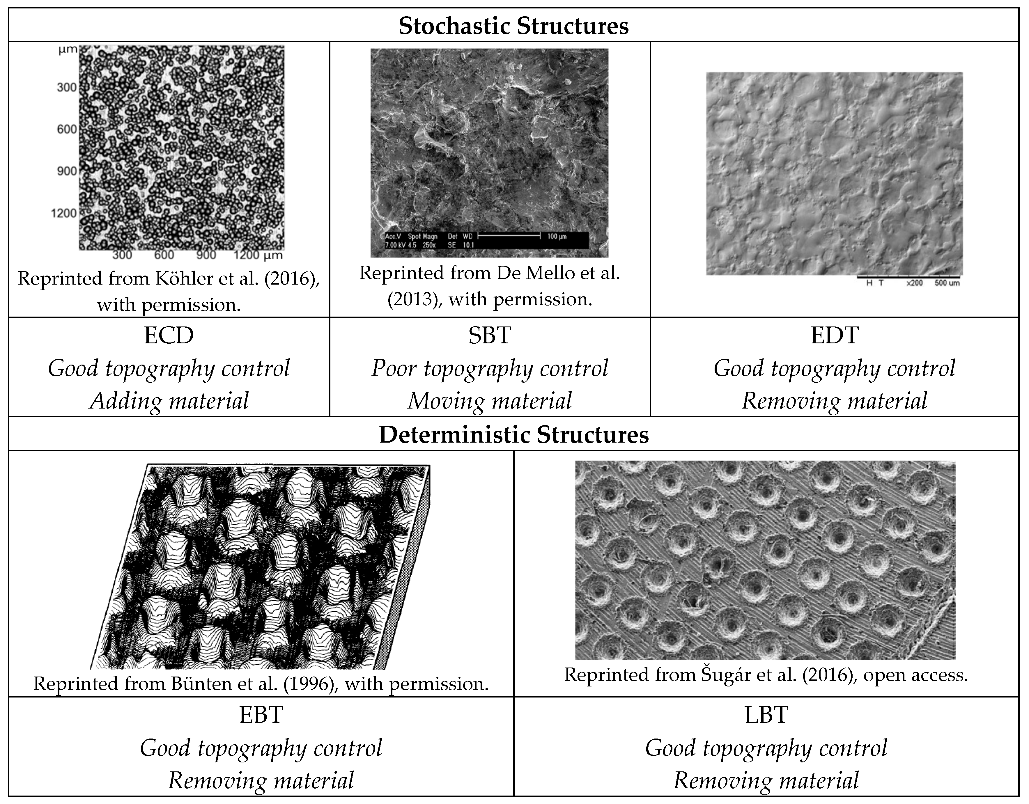 Lubricants 13 00253 g003