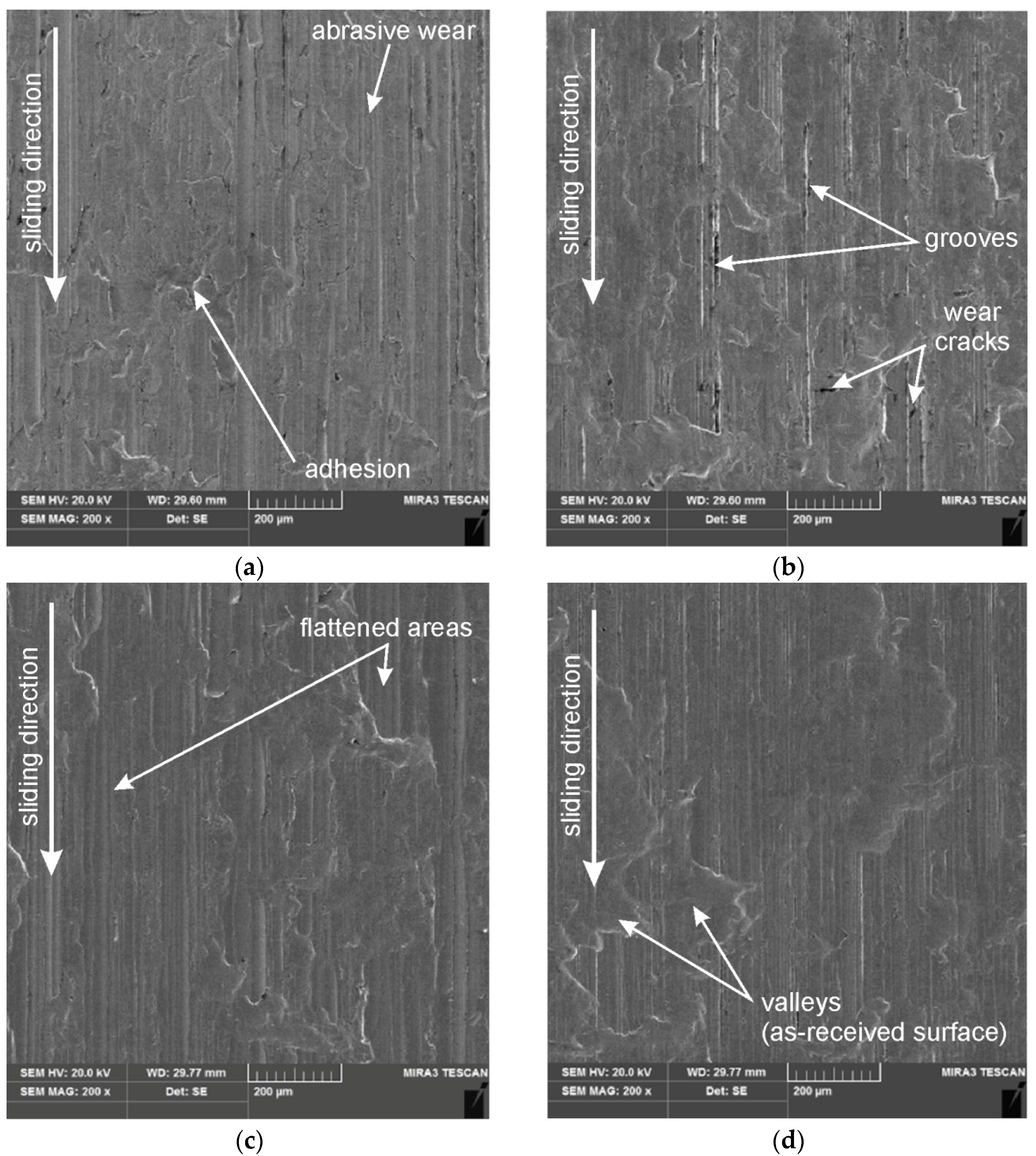 Lubricants 13 00255 g013 Lubricants 13 00255 g013
