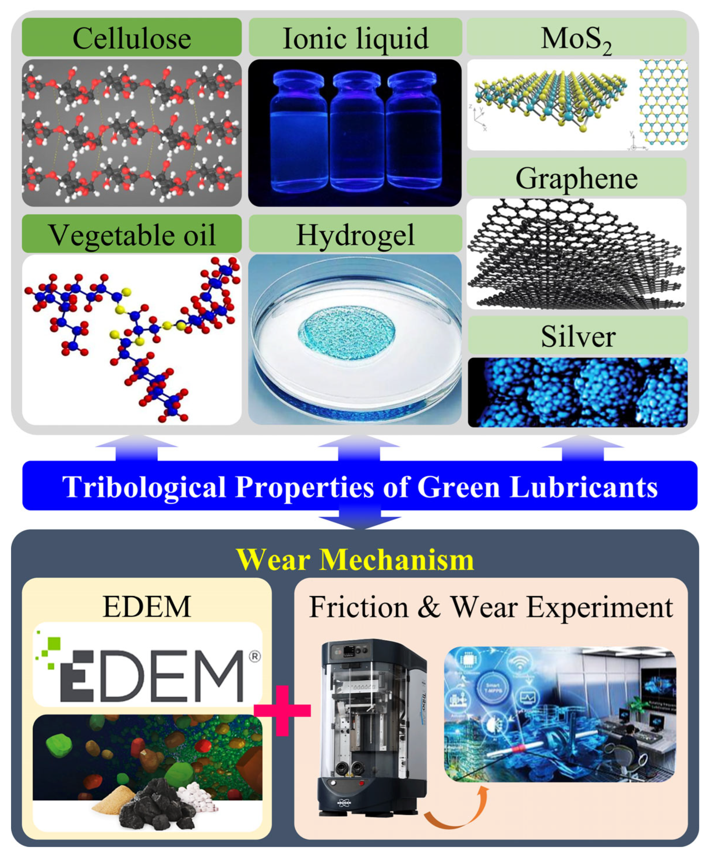 Lubricants 13 00259 g001