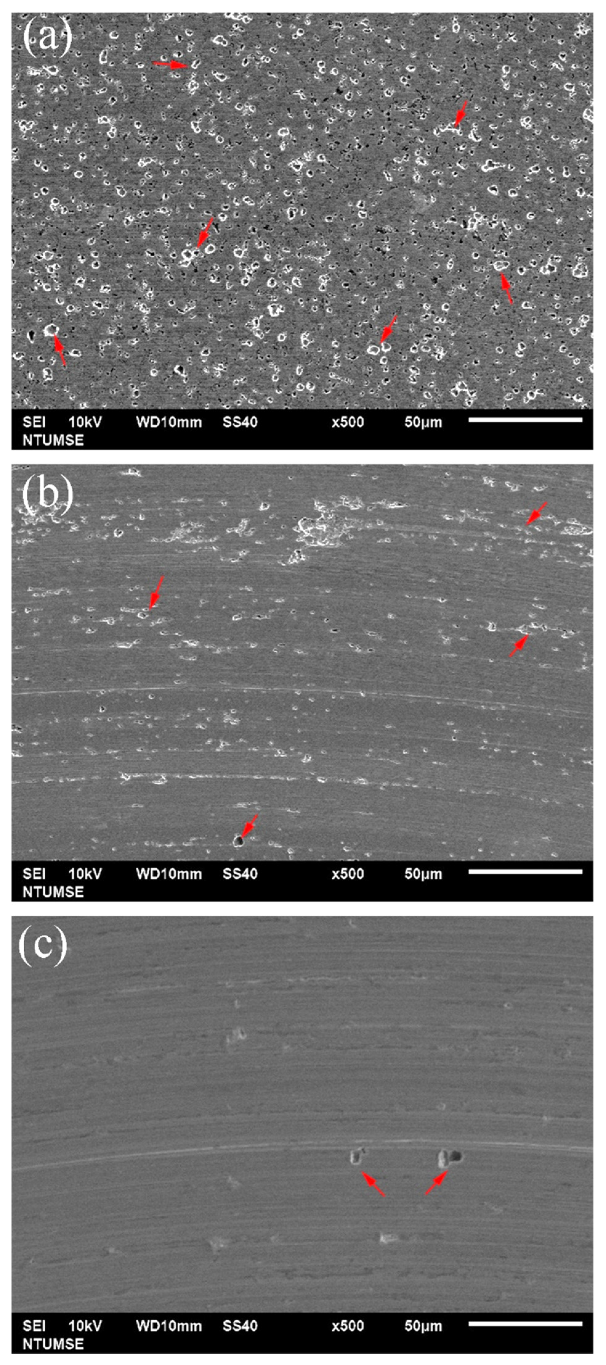 Lubricants 13 00260 g005