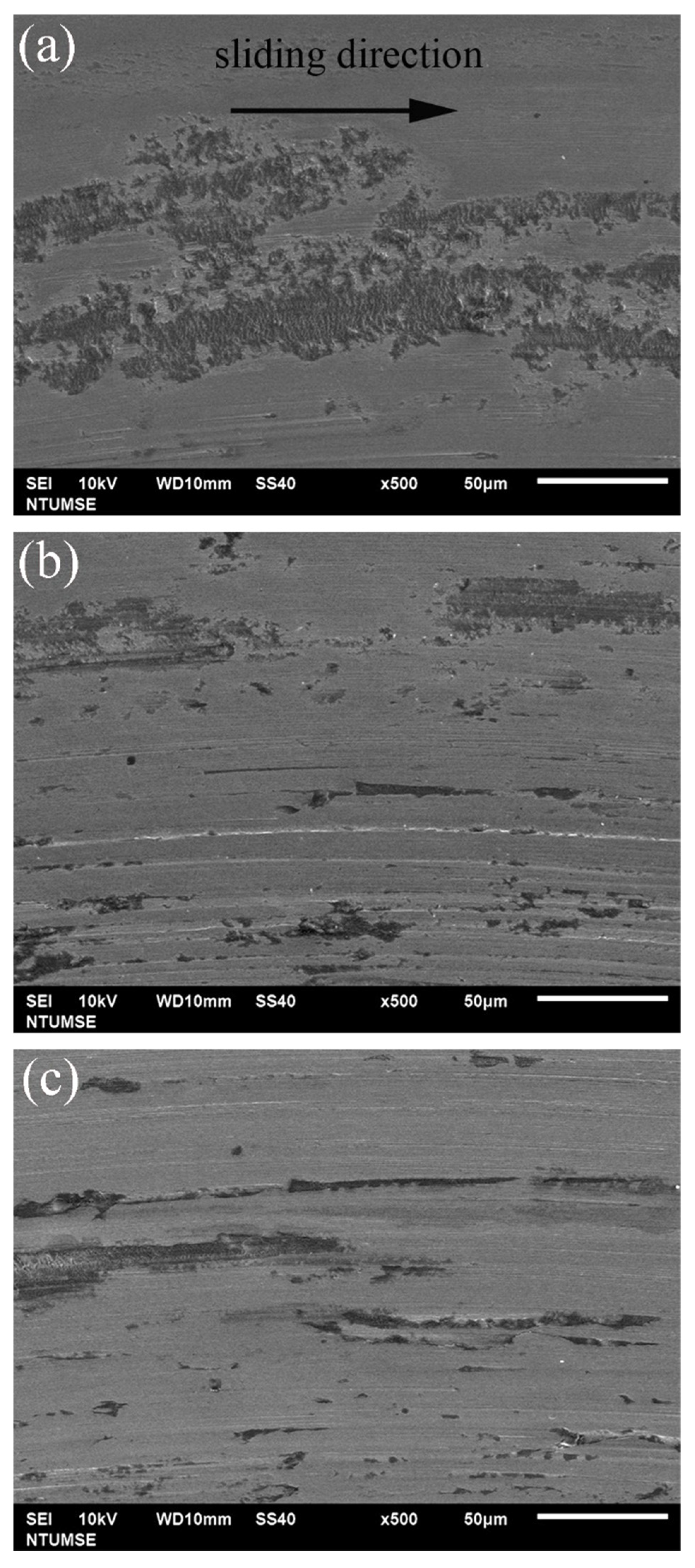 Lubricants 13 00260 g006