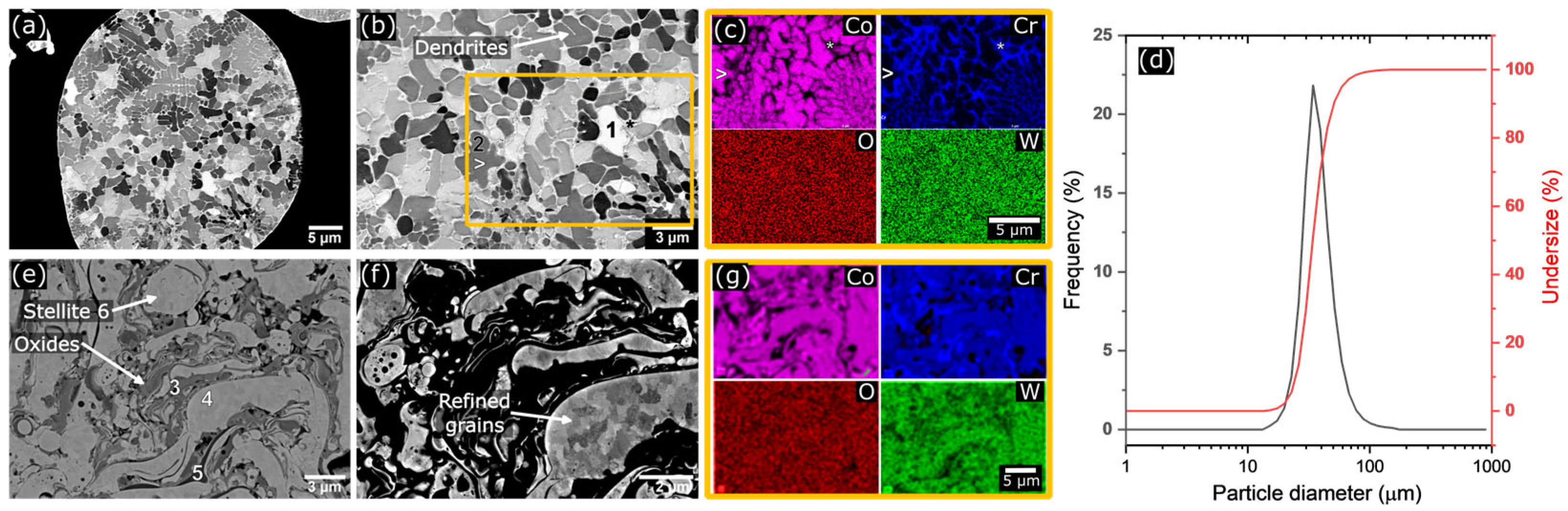 Lubricants 13 00264 g002