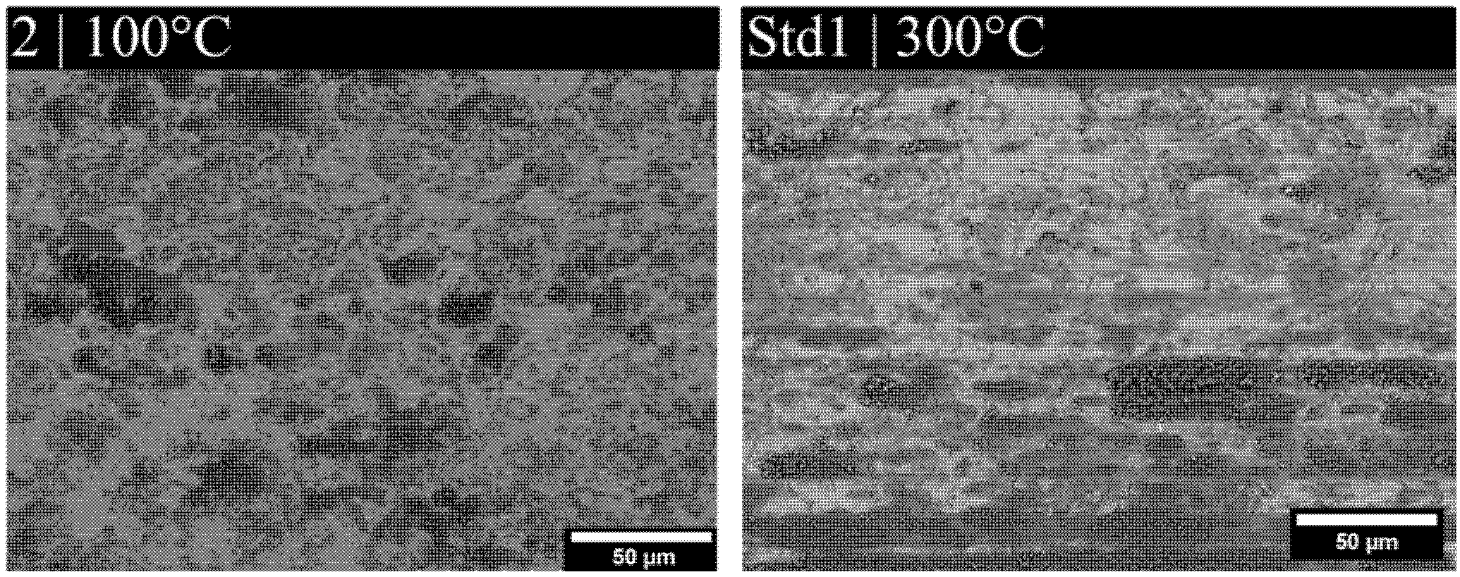 Lubricants 13 00264 g011